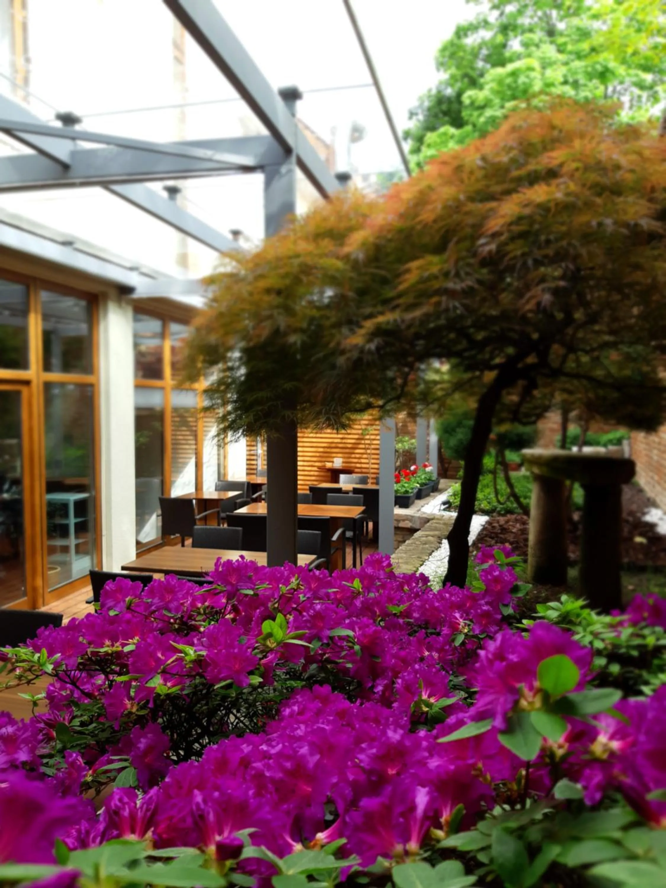 Garden in LONDON Boutique hotel & Restaurant