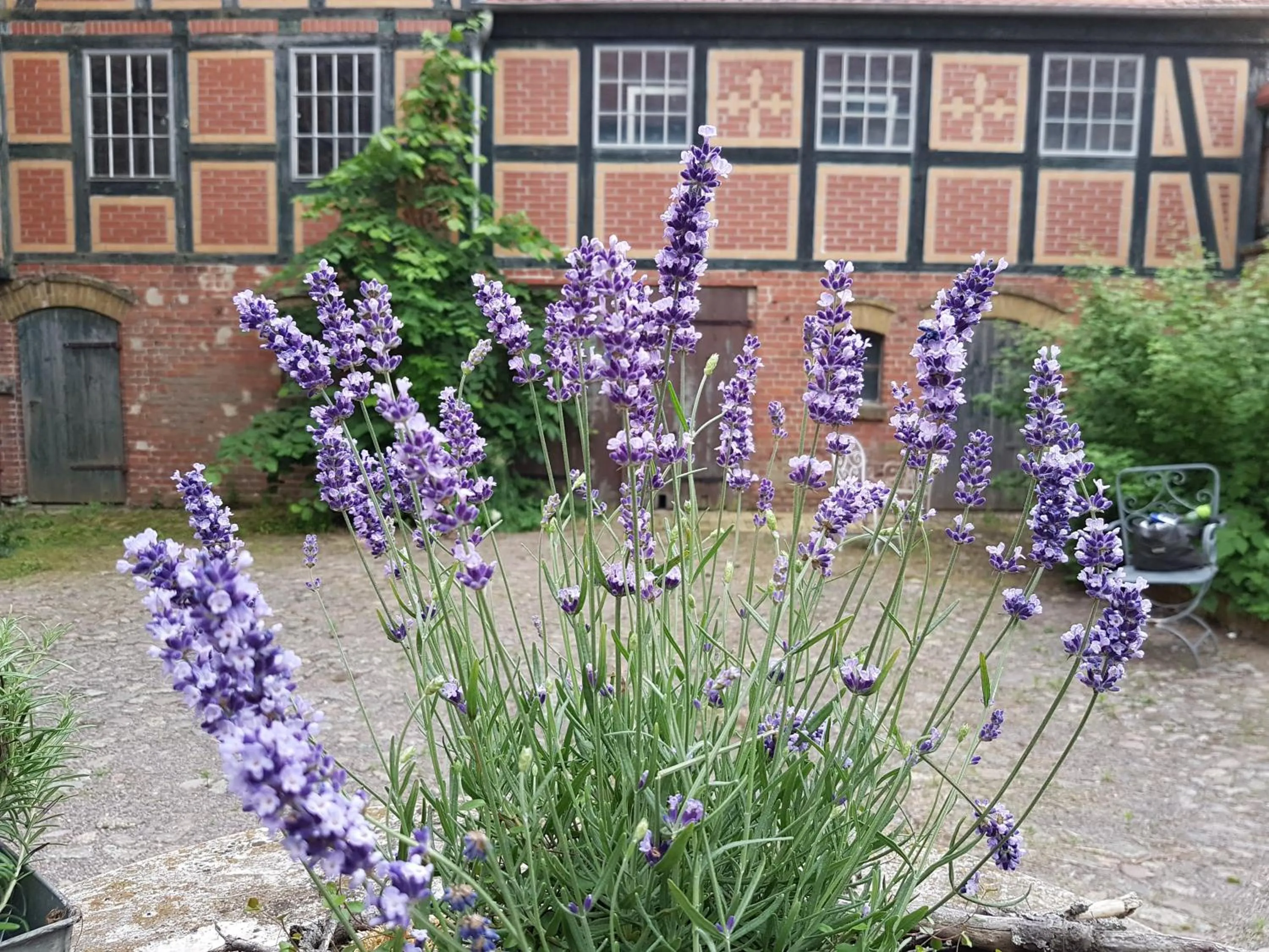 Property building in Alte Lebkuchenfabrik