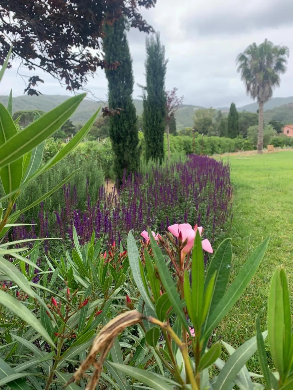 Casale Caterina Agriresort