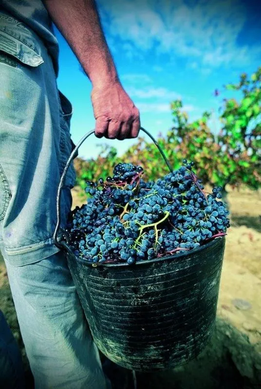 Casale Caterina Agriresort