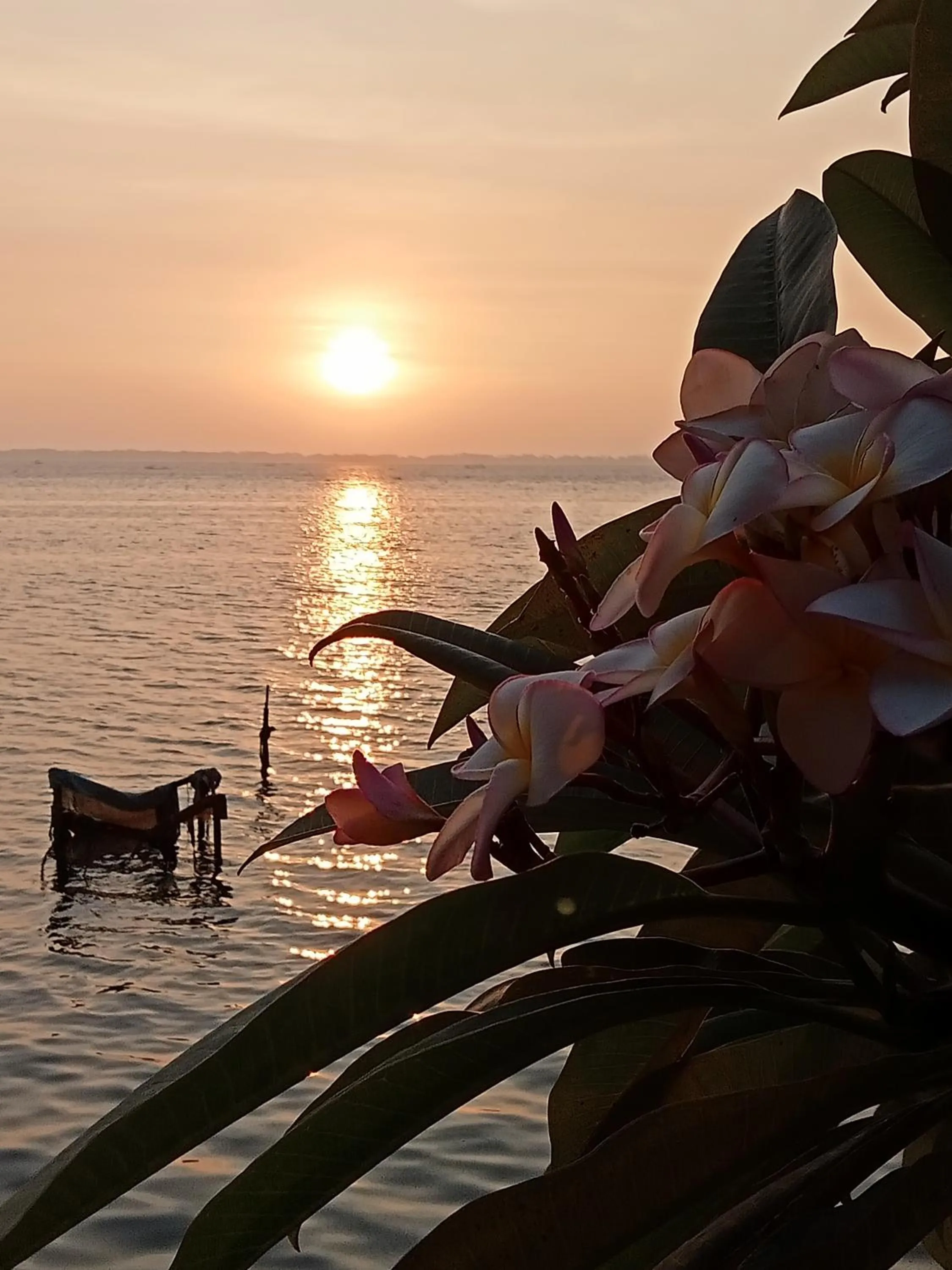 Lake view in Araliya Lagoon Park Resort