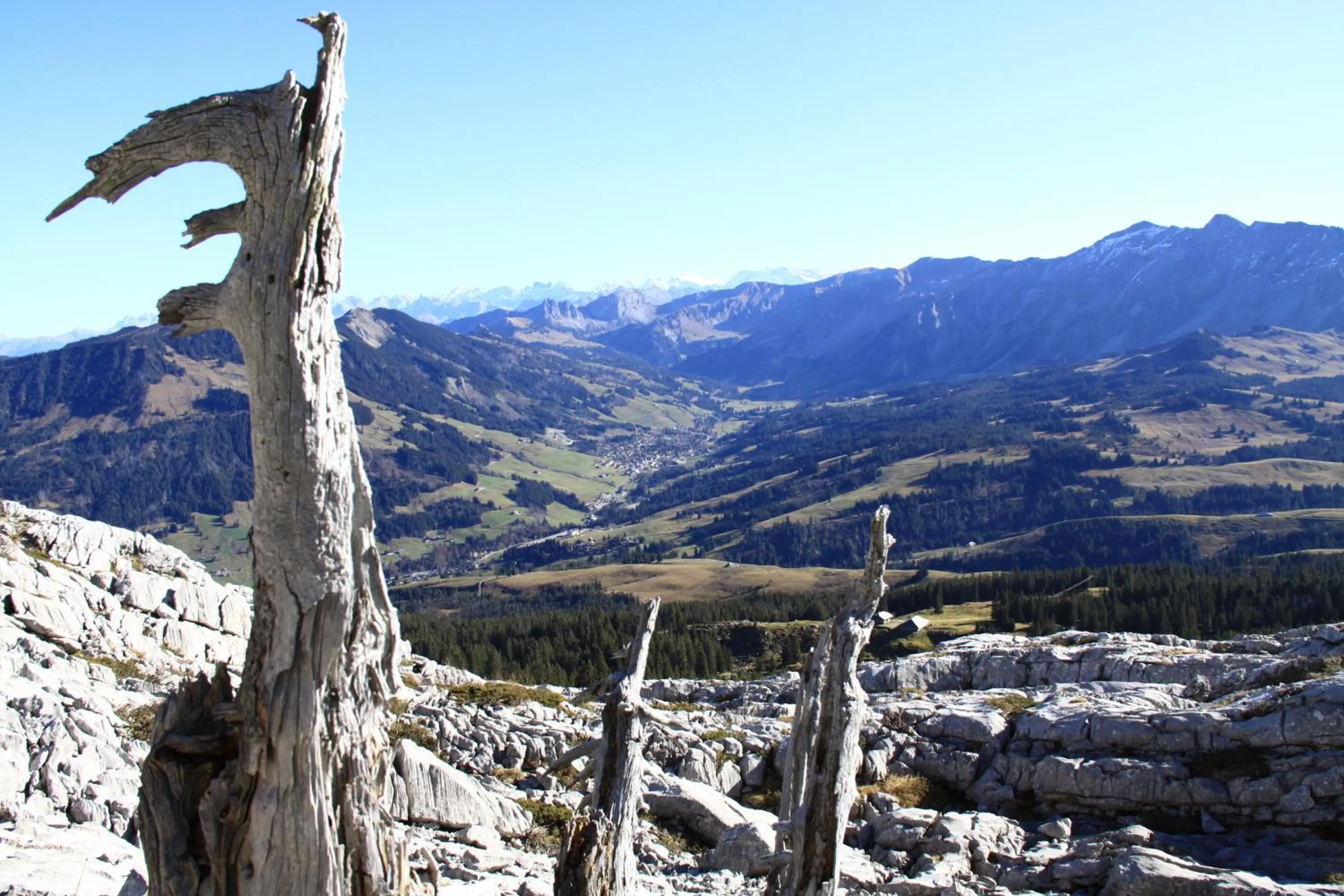 View (from property/room) in Hotel Rischli