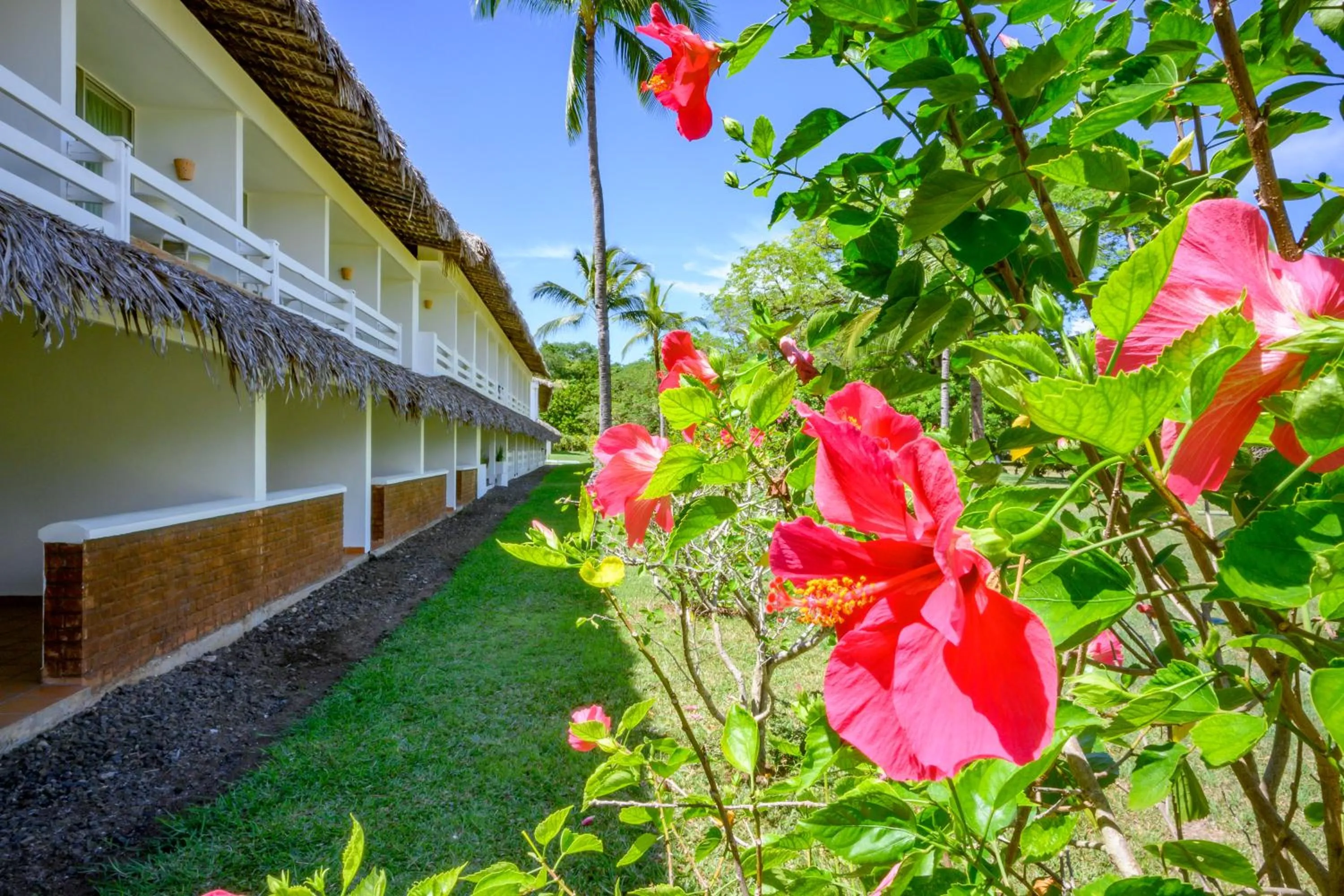 Garden in VOI Andilana Beach Resort