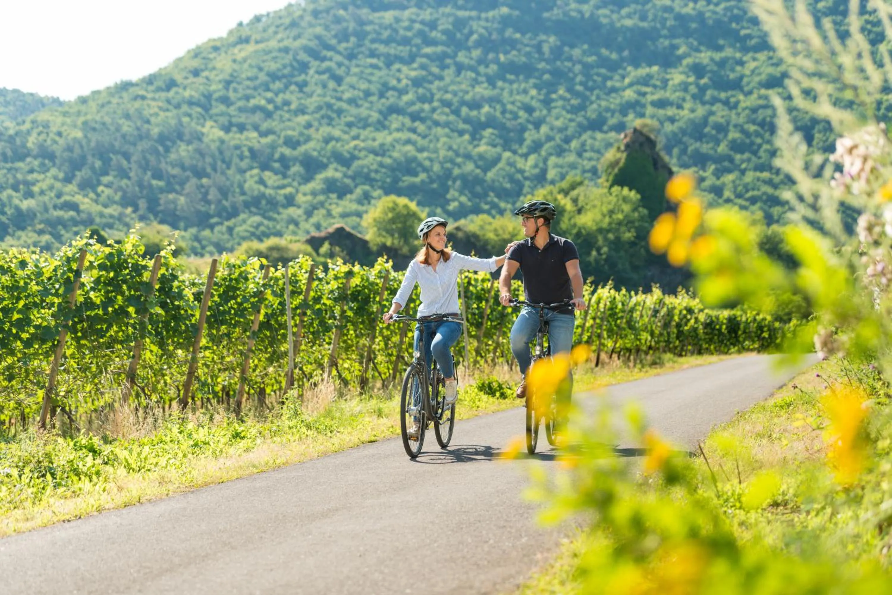 Cycling in Apart Hotel Lang