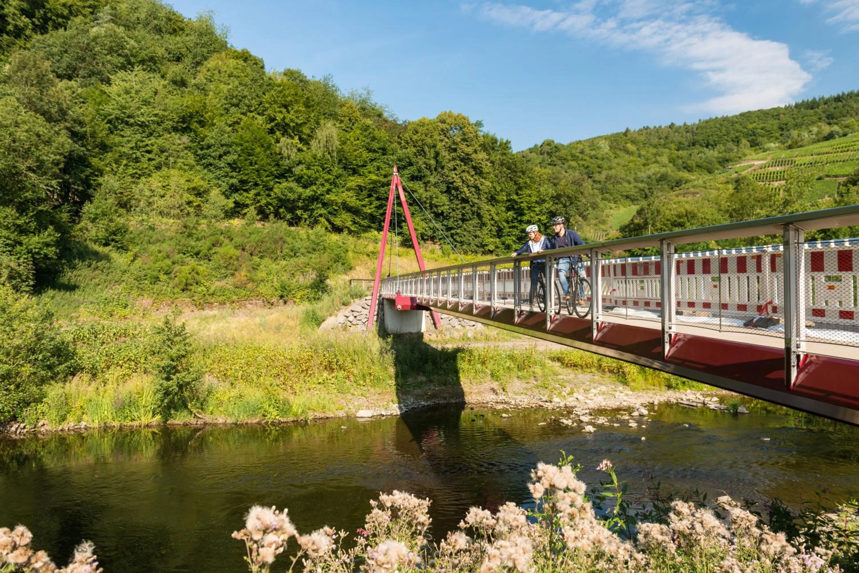 Cycling in Apart Hotel Lang