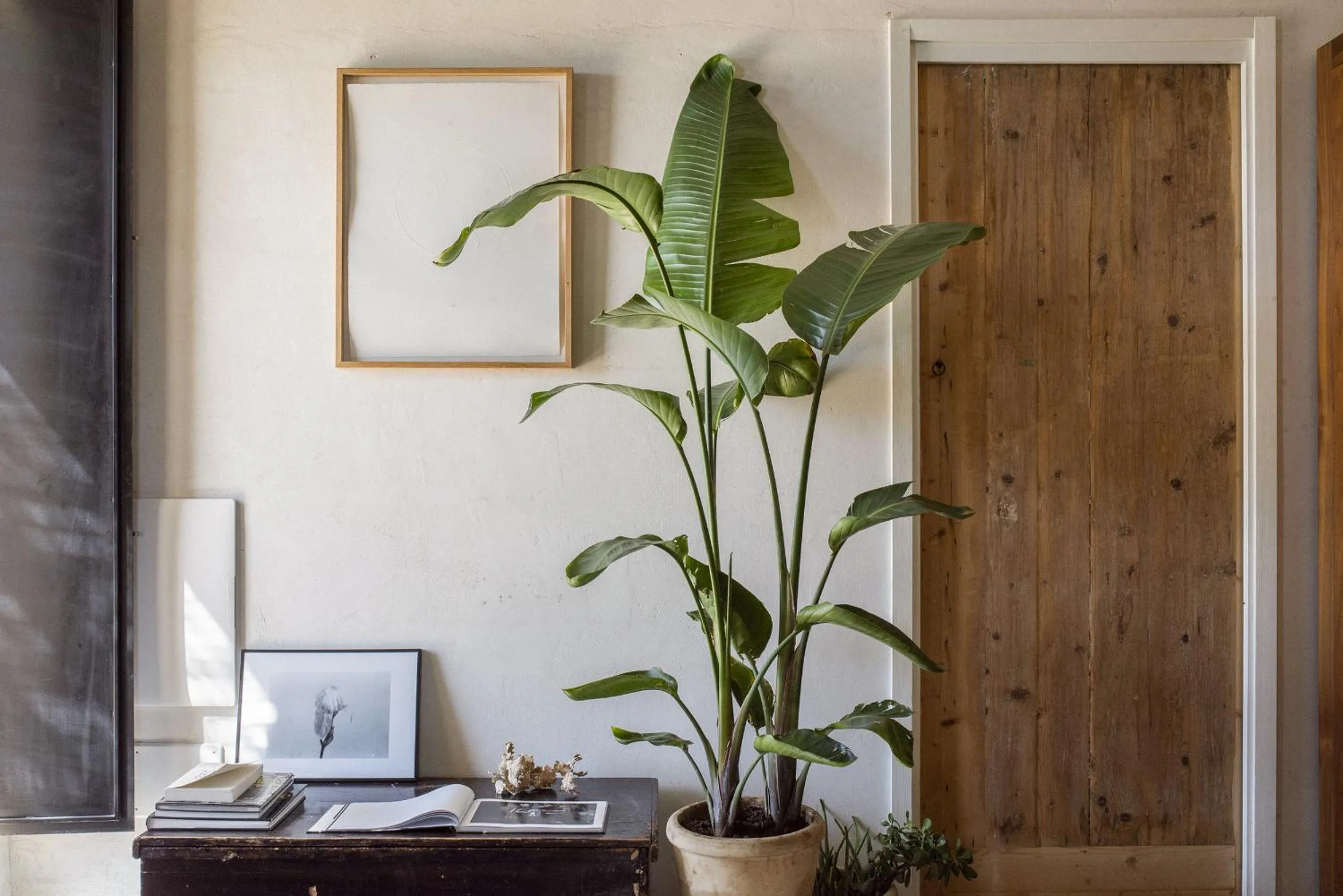 Decorative detail in Casa Balat