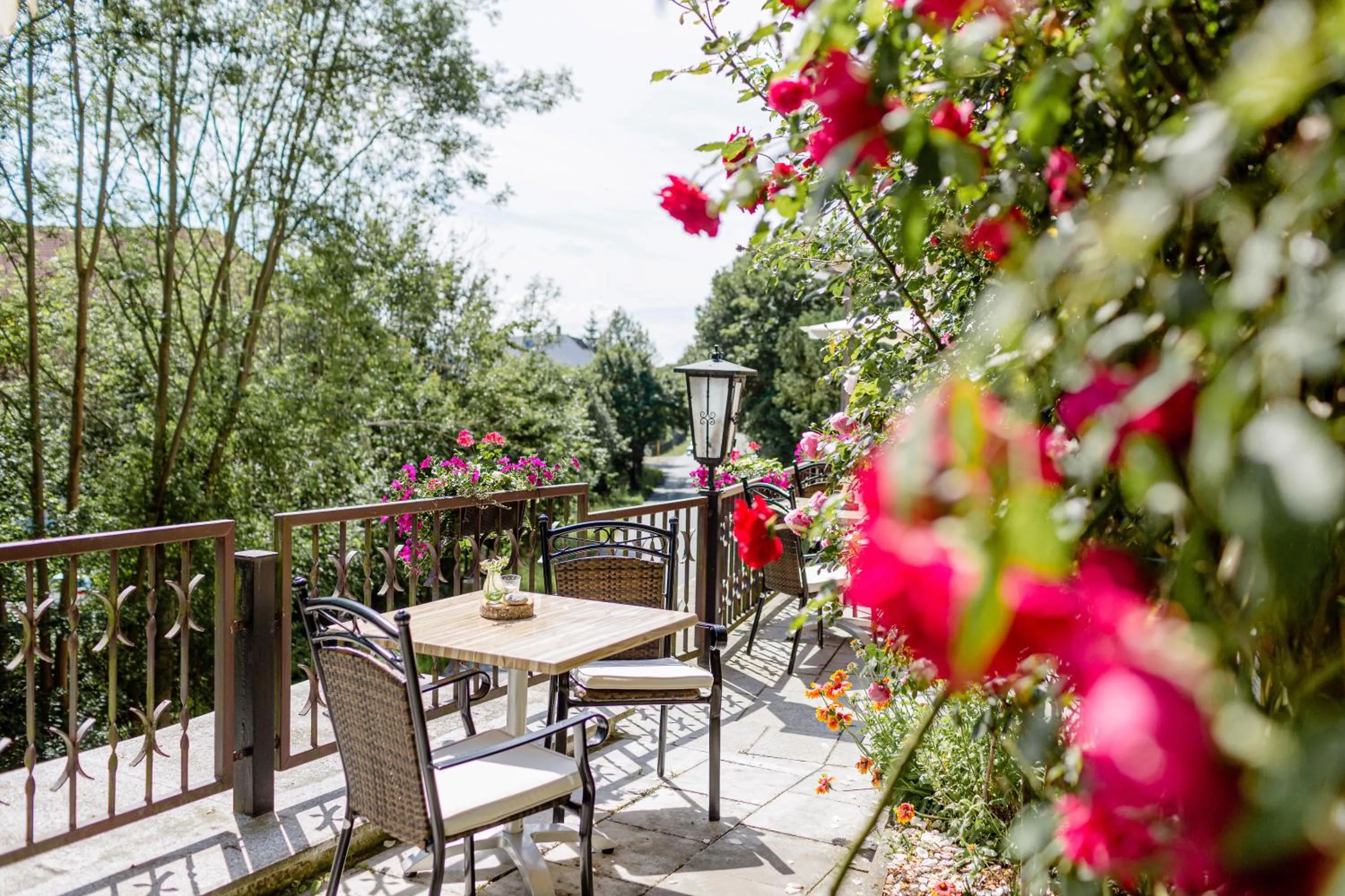 Restaurant/places to eat in Hotel Restaurant Zwergschlösschen