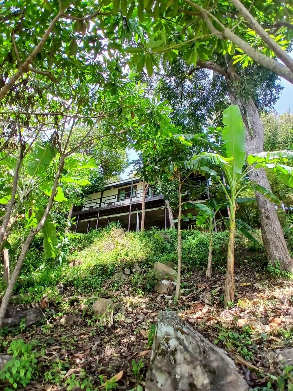 Garden view in Jasmin Garden Koh Kood