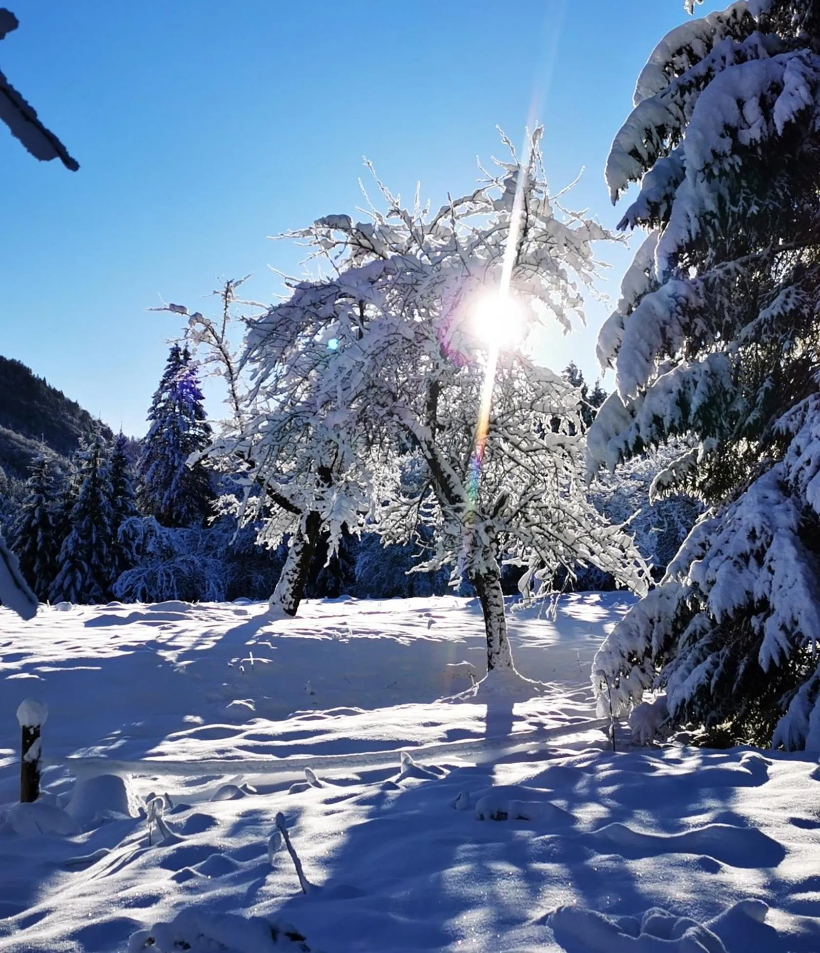 Natural landscape in Sporthotel Grünau - Wimmergreuth