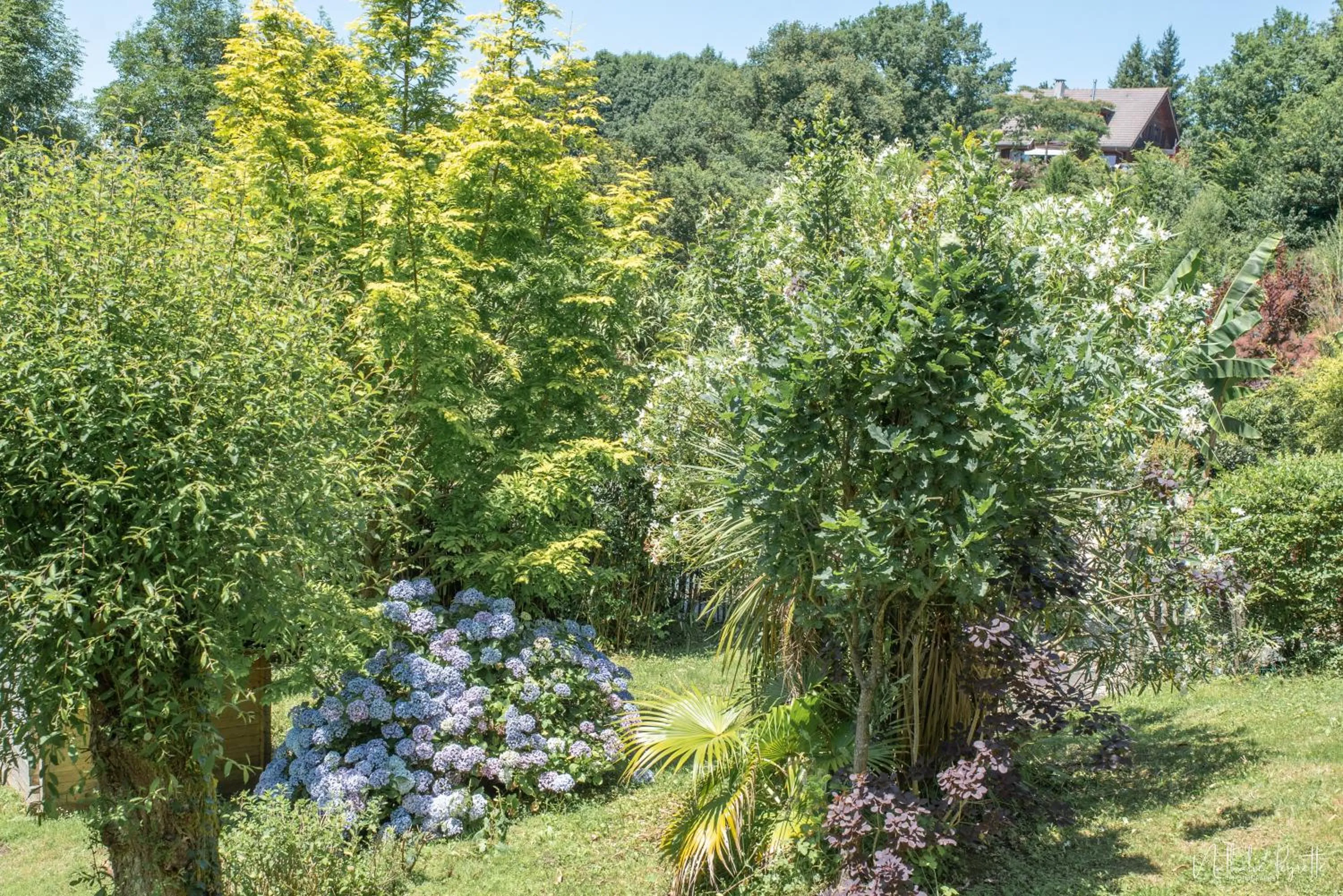 Natural landscape in Le lodge sur pilotis