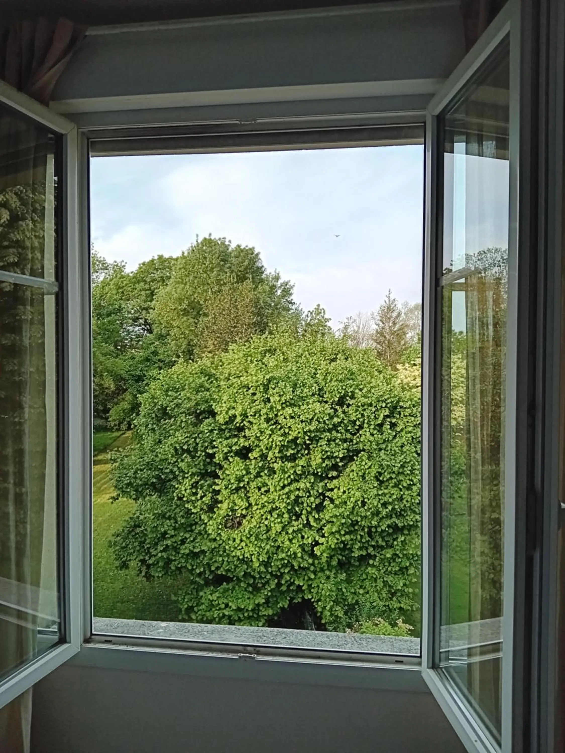 Natural landscape in La Villa Camille