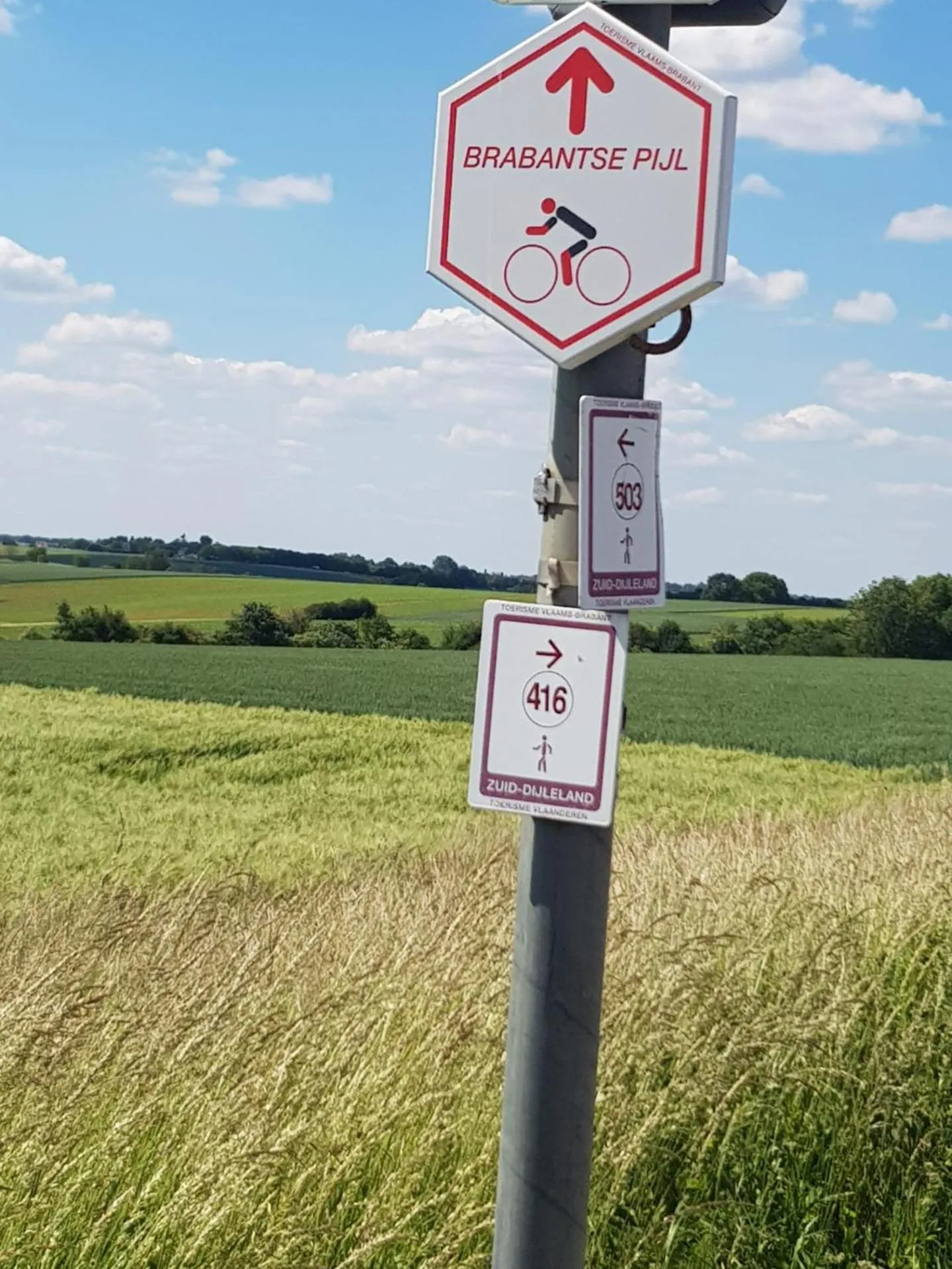 Hiking in Boslucht Leuven