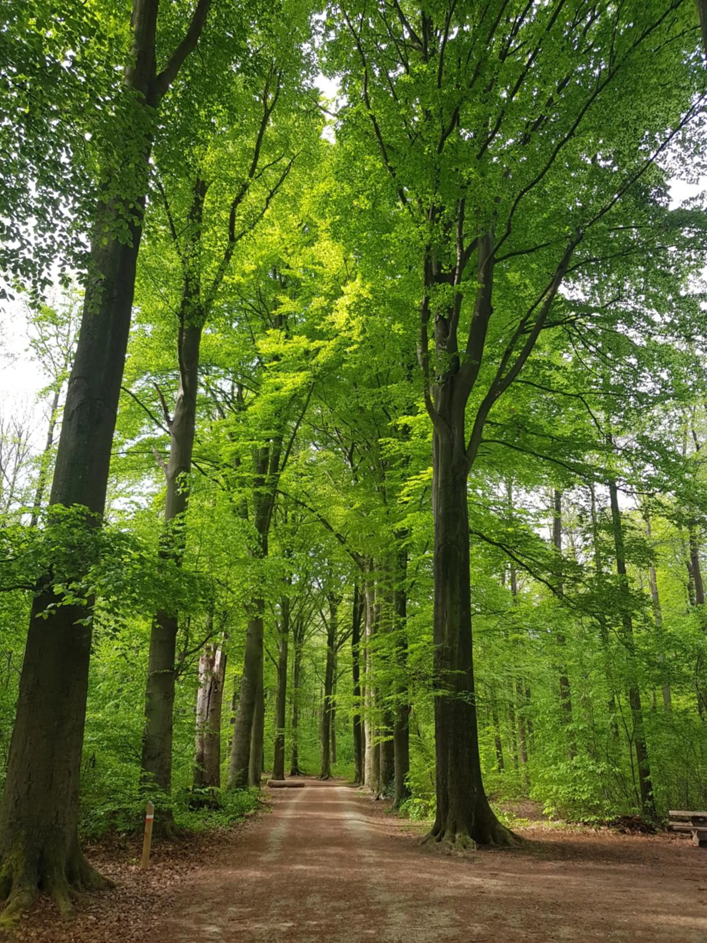 Neighbourhood in Boslucht Leuven