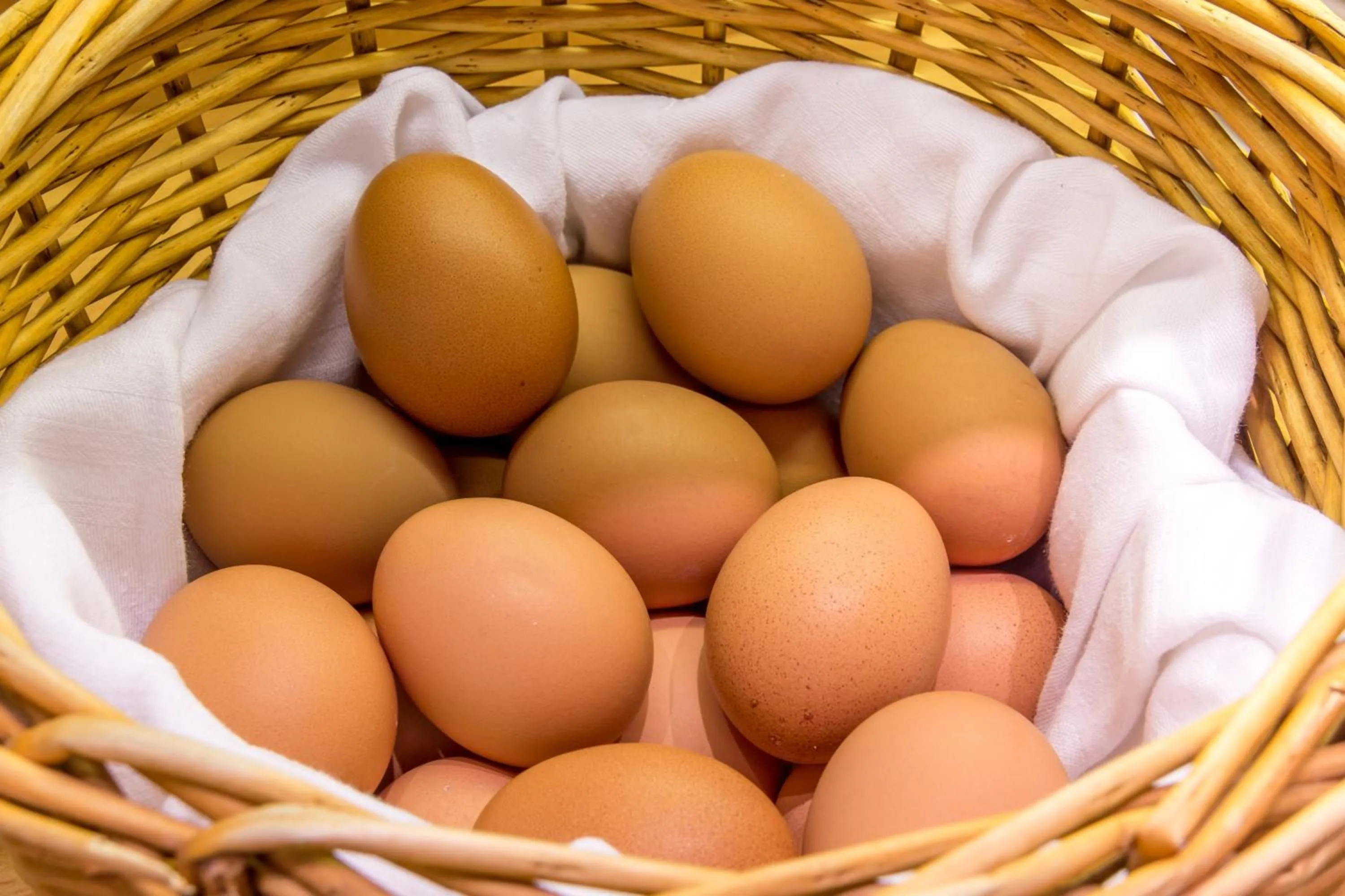 Food close-up in CVJM Hotel am Wollmarkt