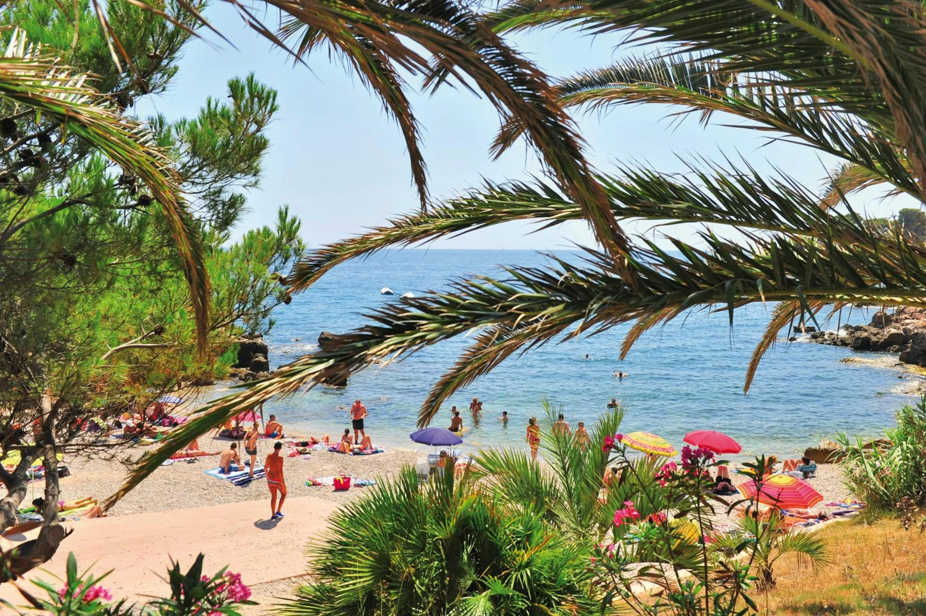 Natural landscape in VTF Clairefont