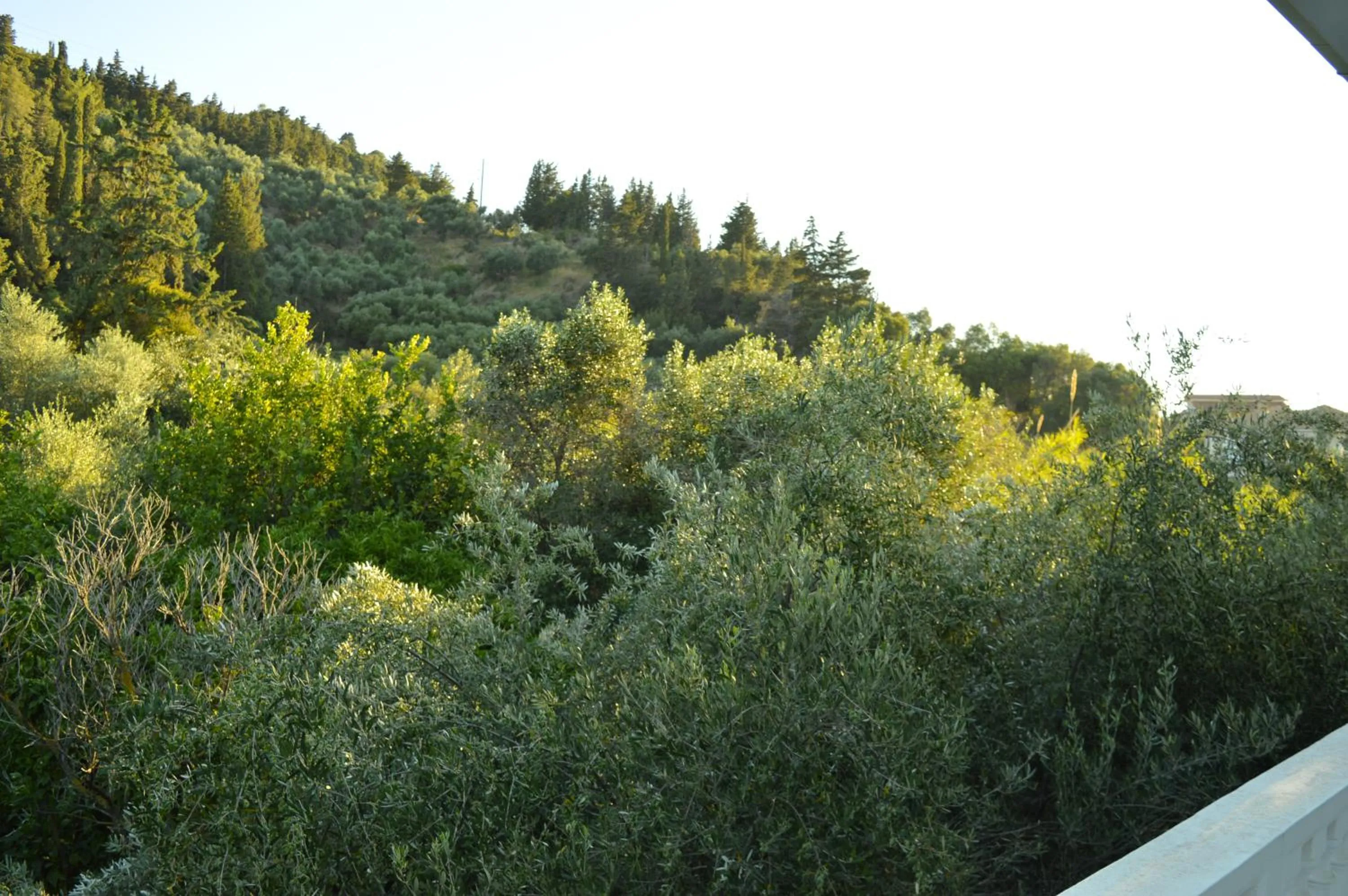 Natural landscape in Paradise Beach Apartments