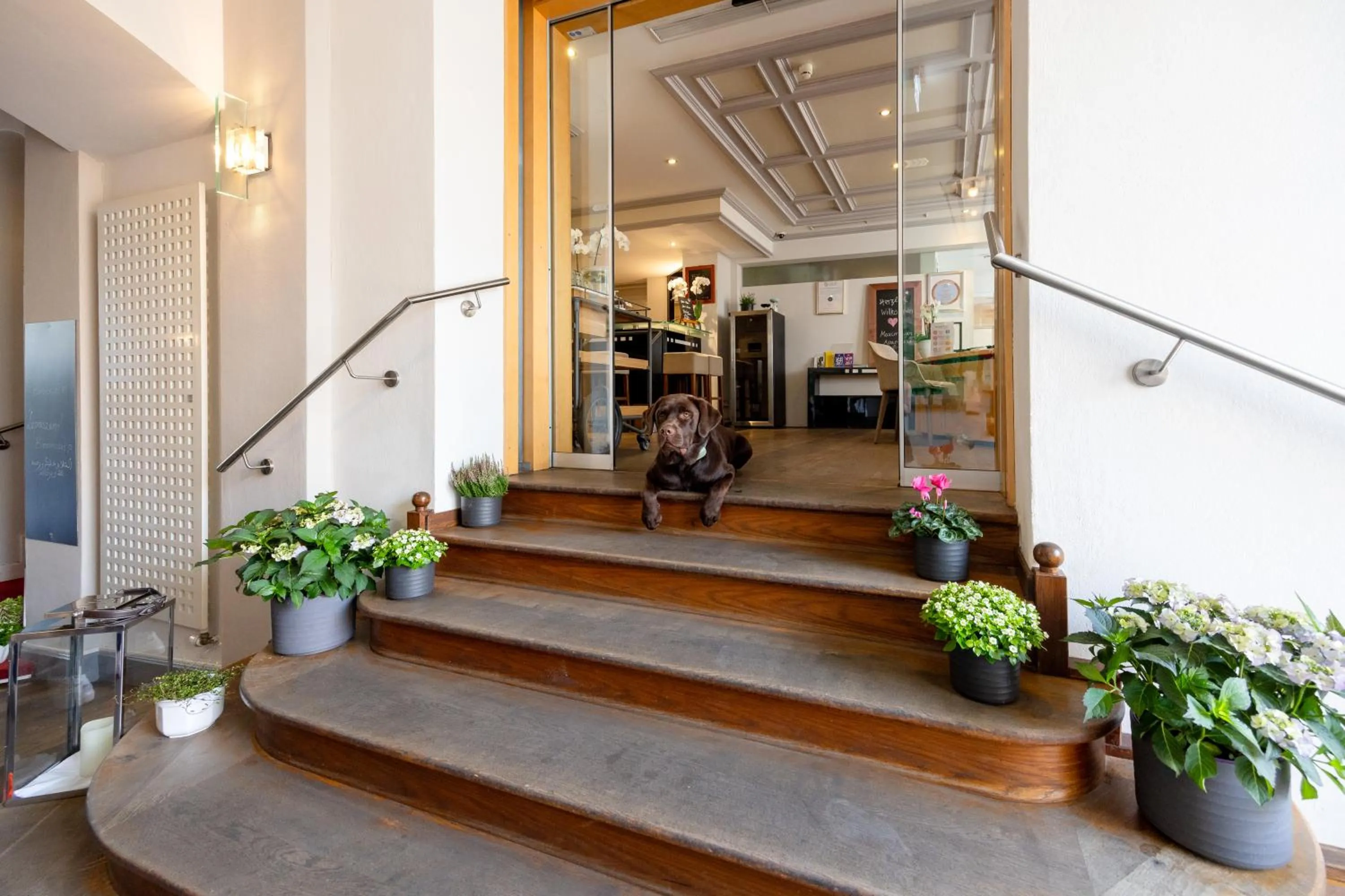 pet friendly in MAXIMILIAN MUNICH Apartments & Hotel