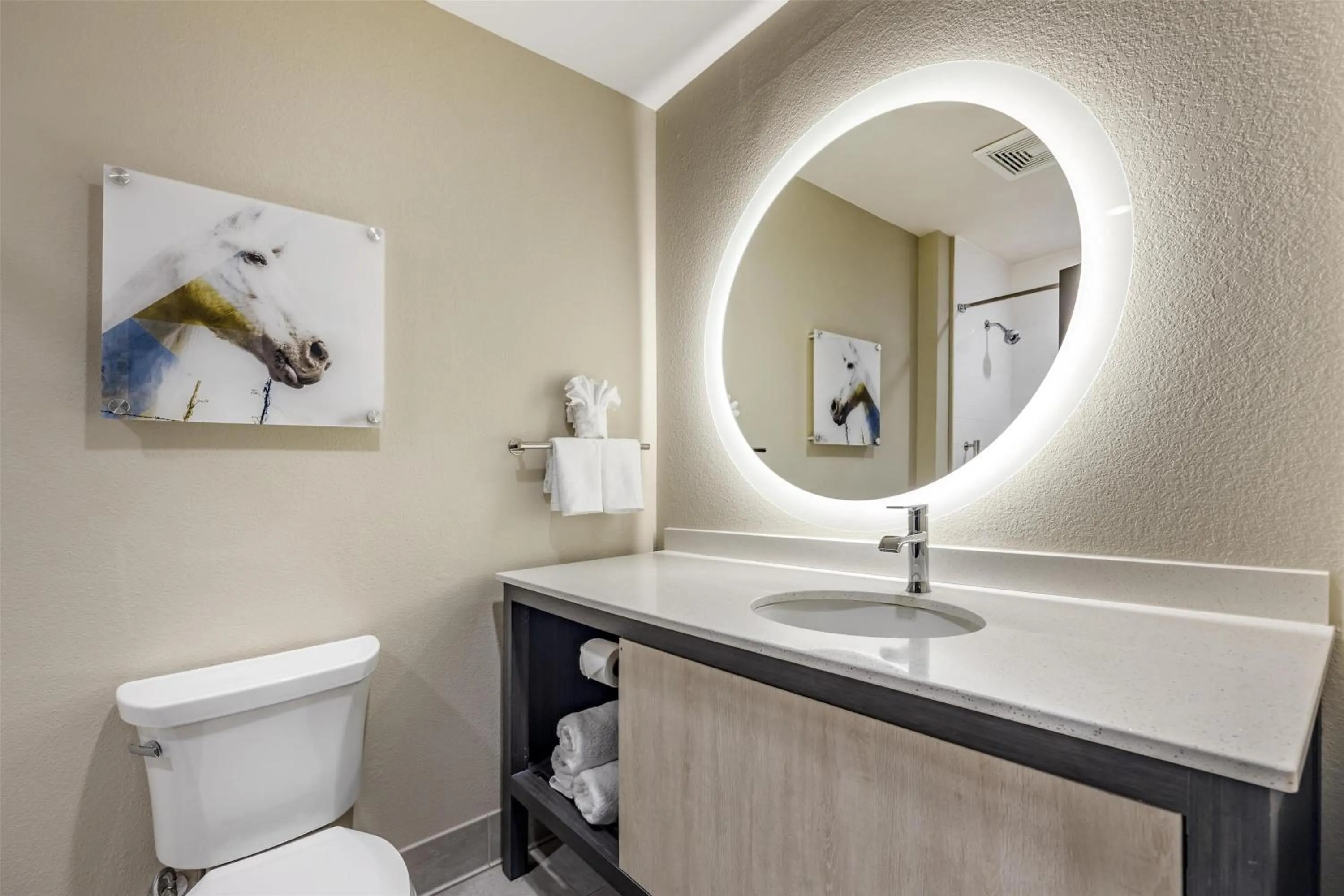 Bathroom in Best Western Plus Executive Residency Jackson Northeast