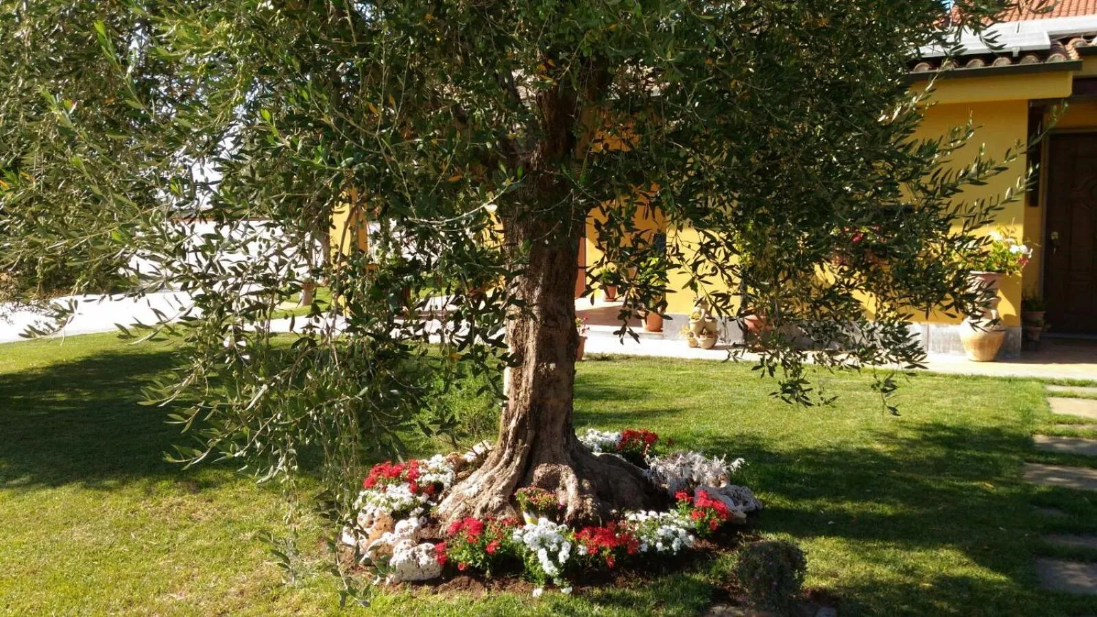 Property building in L'Antico Vigneto