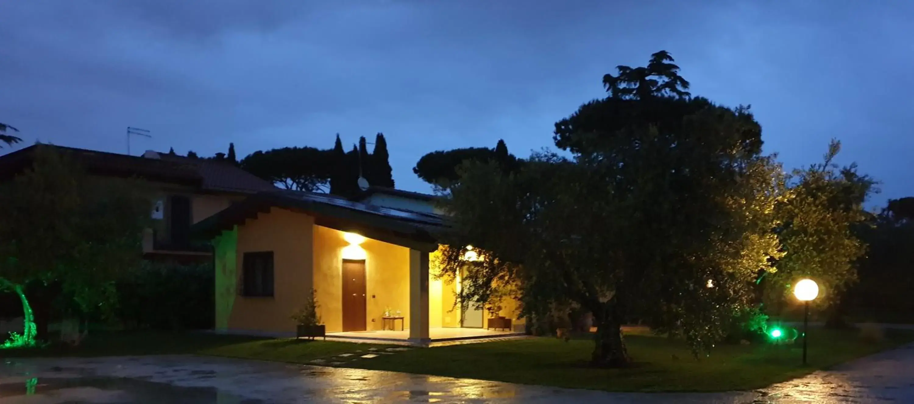 L'Antico Vigneto L'Antico Vigneto