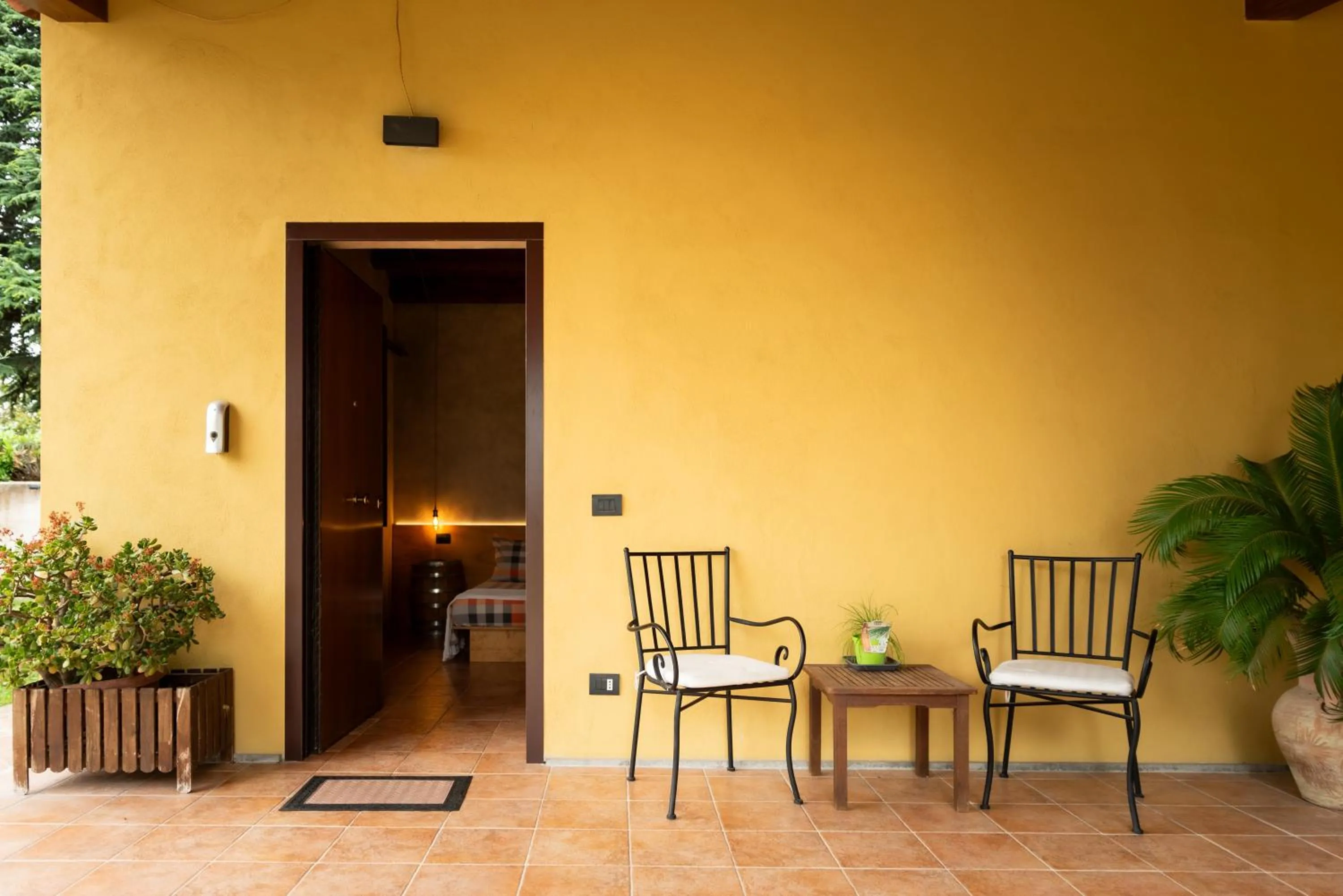 L'Antico Vigneto