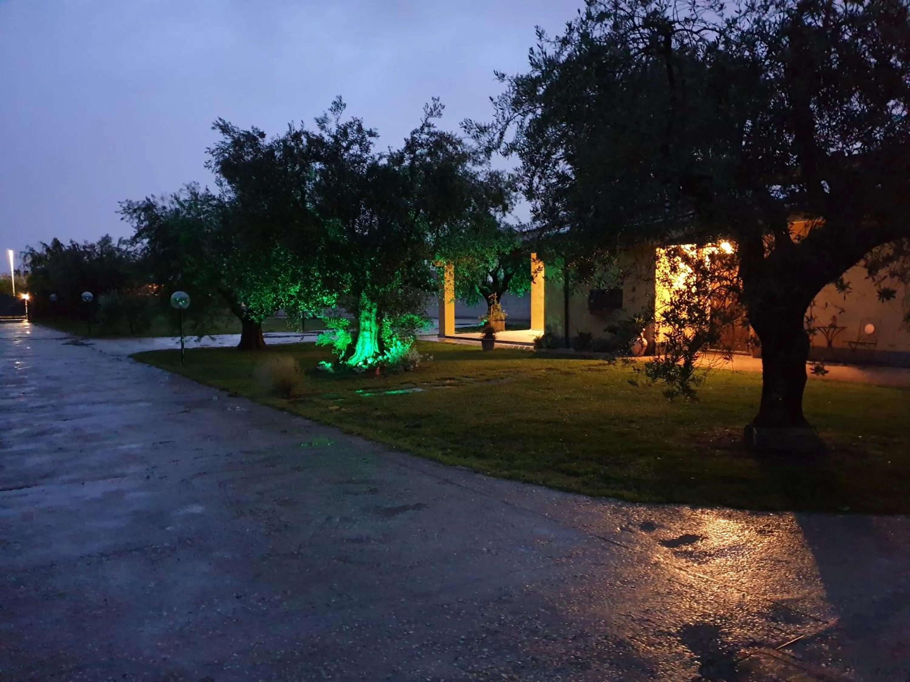Garden in L'Antico Vigneto