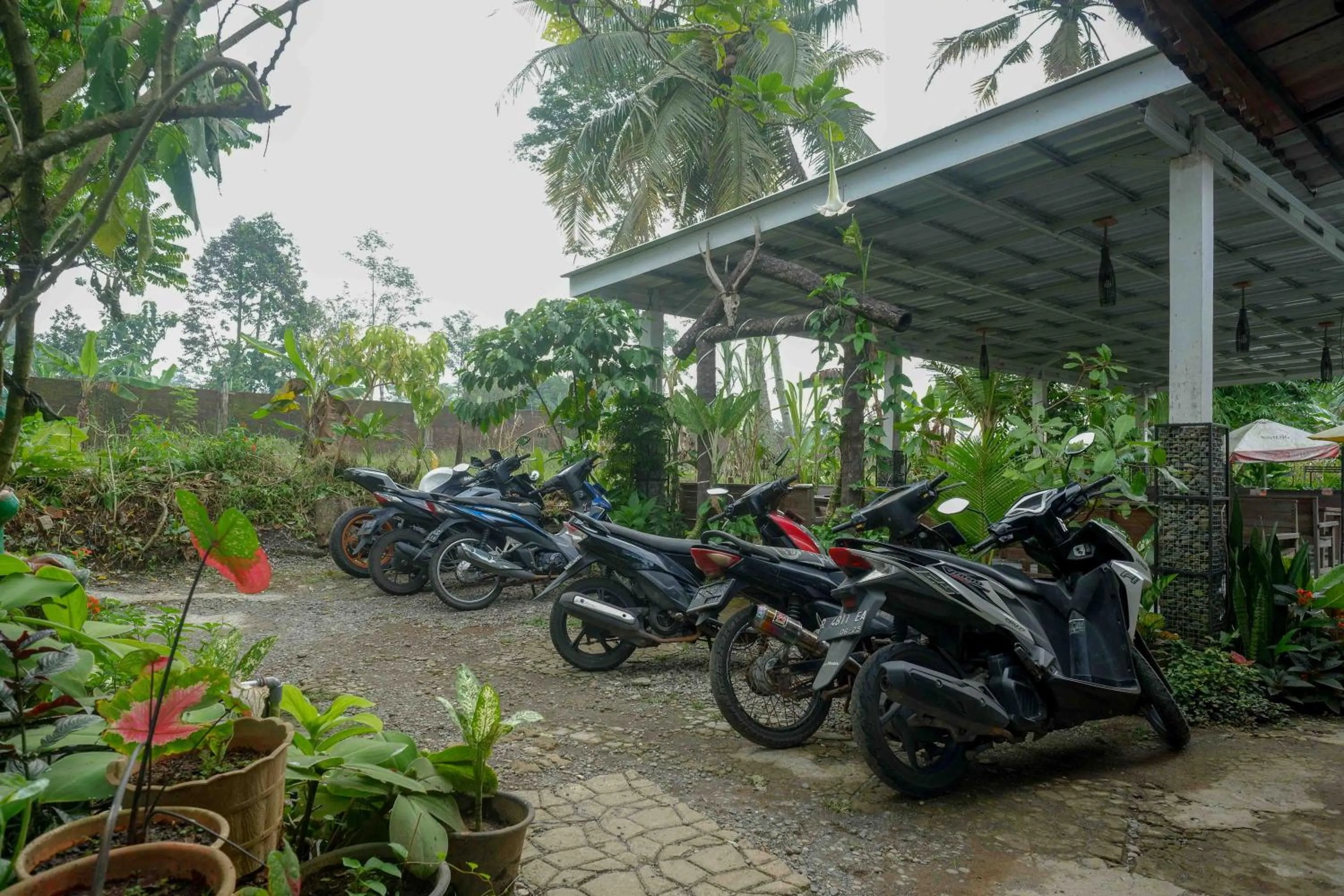 RedDoorz At Jalan Raya Baturaden