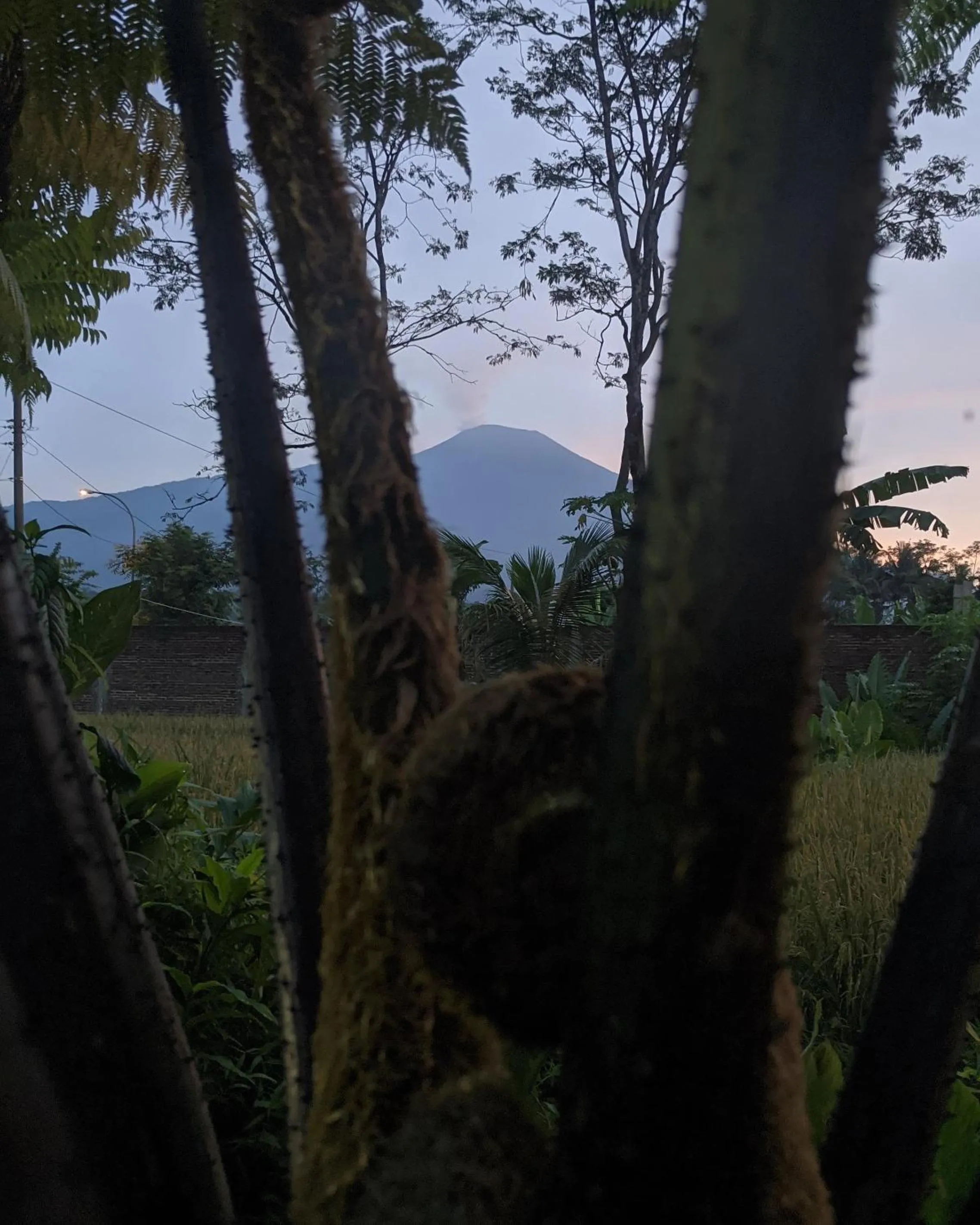 Mountain view in RedDoorz At Jalan Raya Baturaden