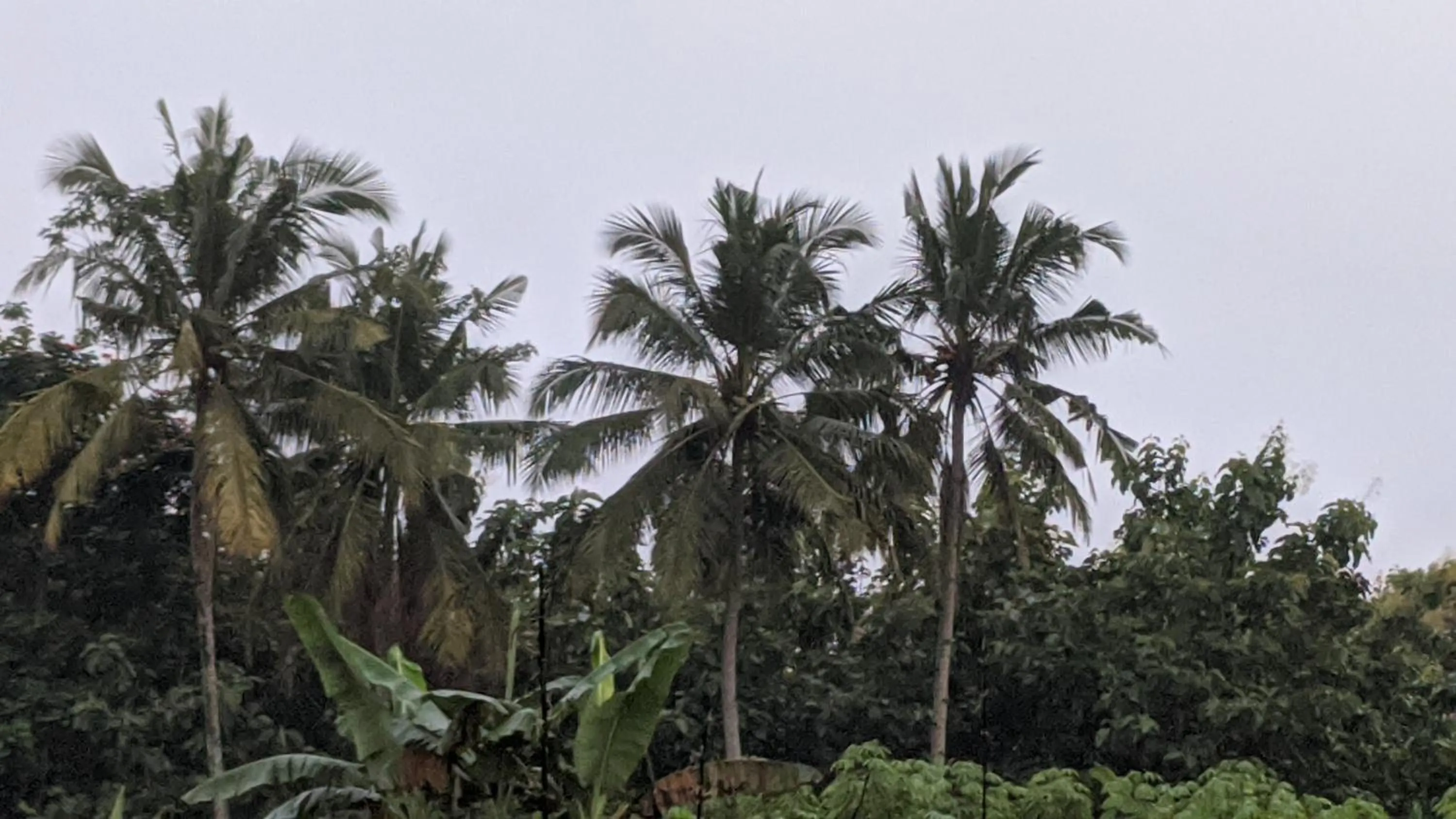 View (from property/room) in RedDoorz At Jalan Raya Baturaden