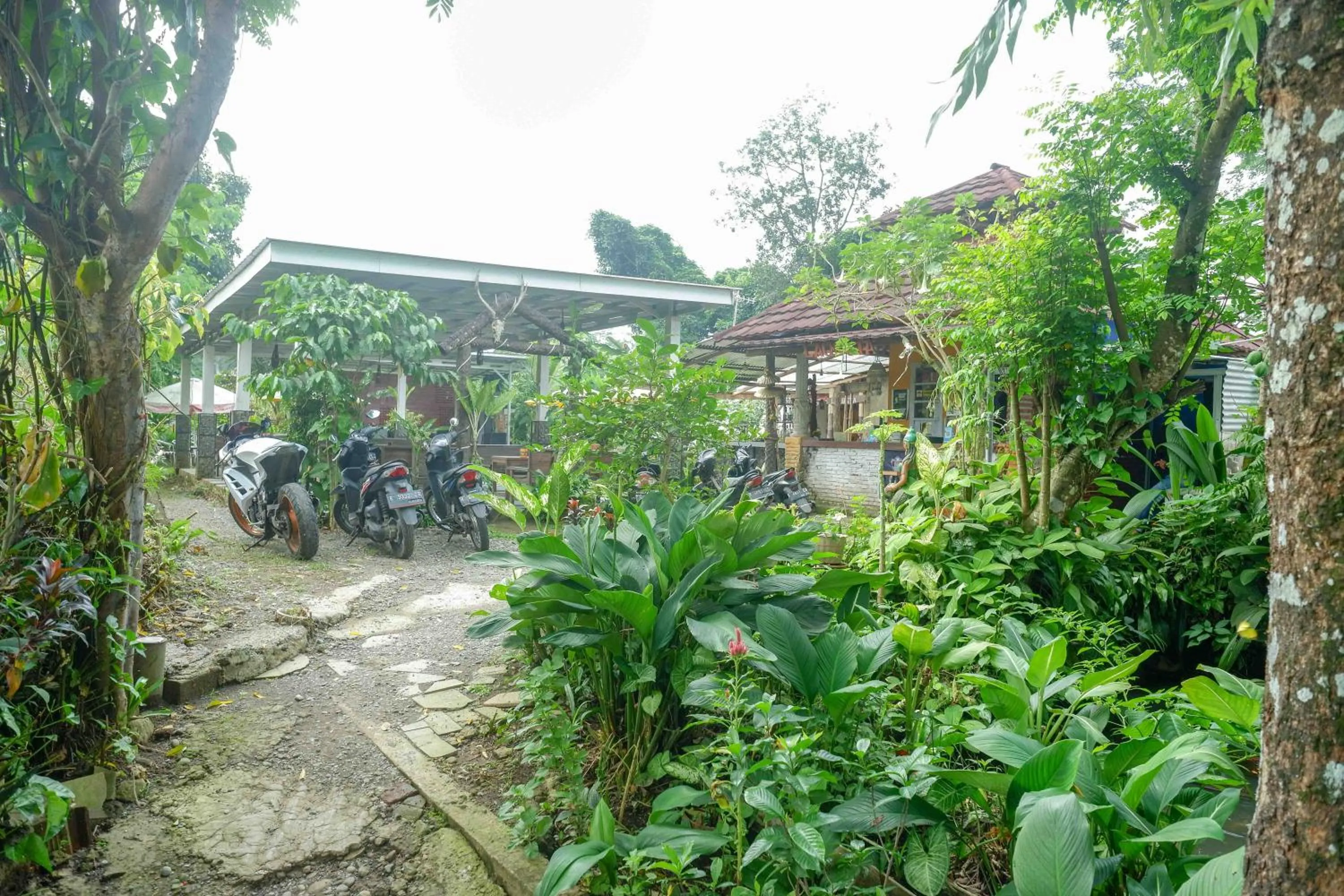 RedDoorz At Jalan Raya Baturaden