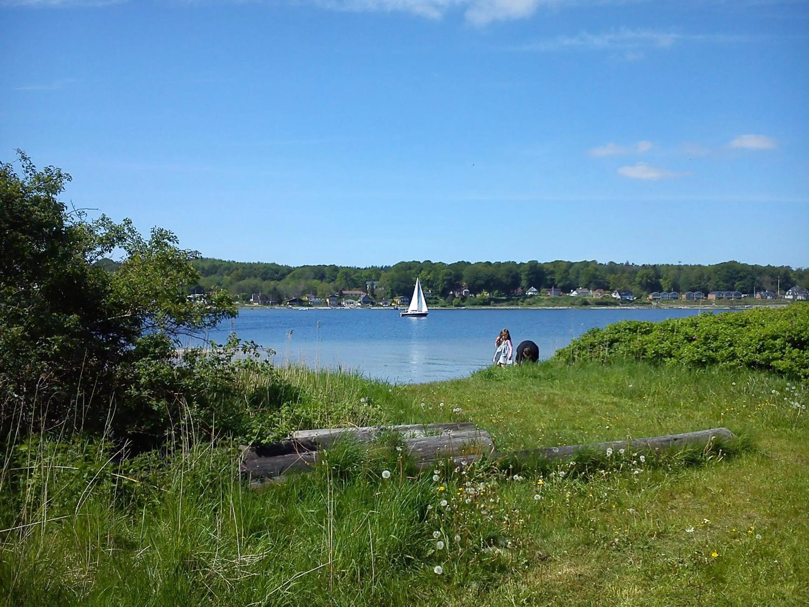 Natural landscape in Gästehaus Flensburg Engelsby
