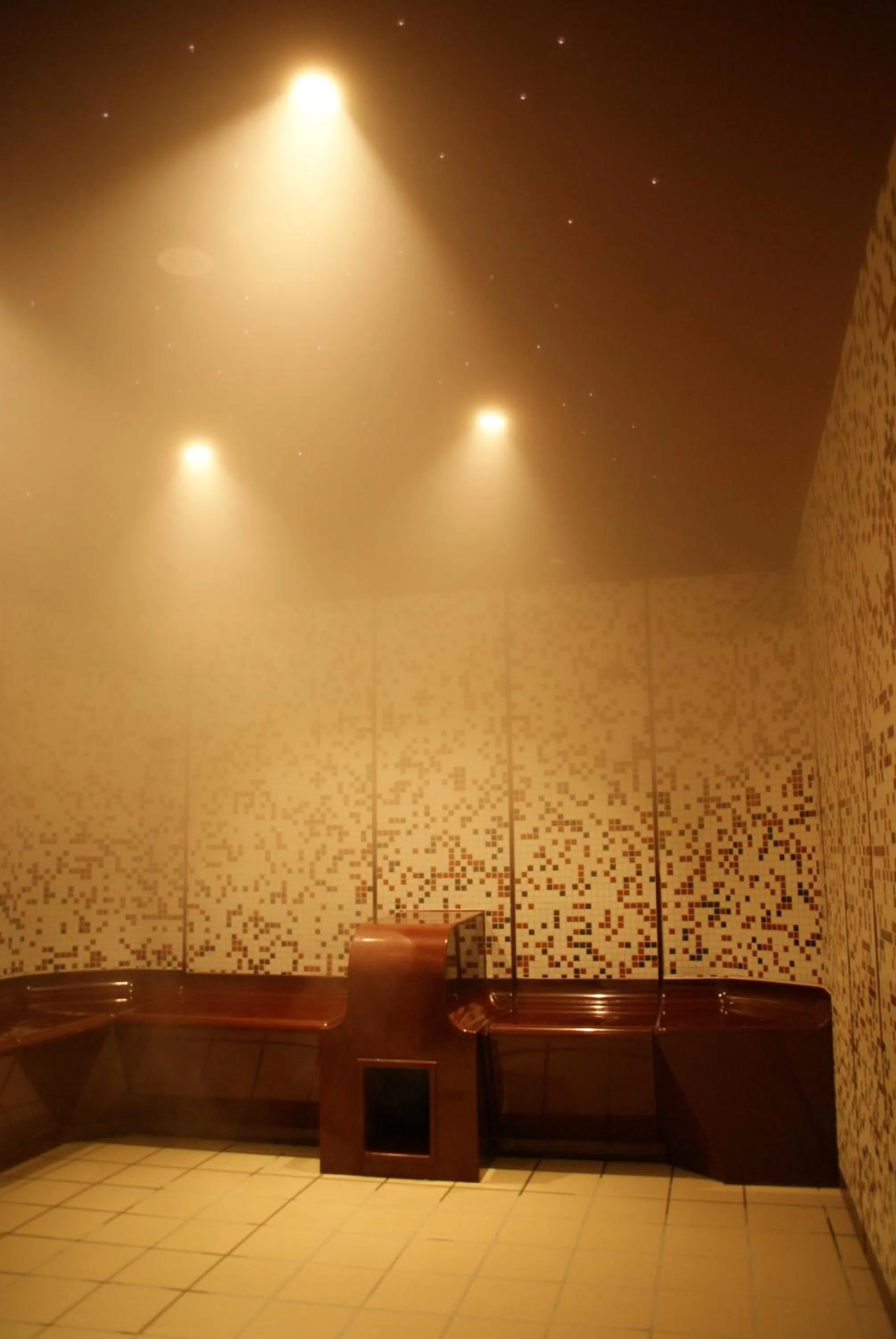 Steam room in VVF Amboise Les Châteaux de la Loire