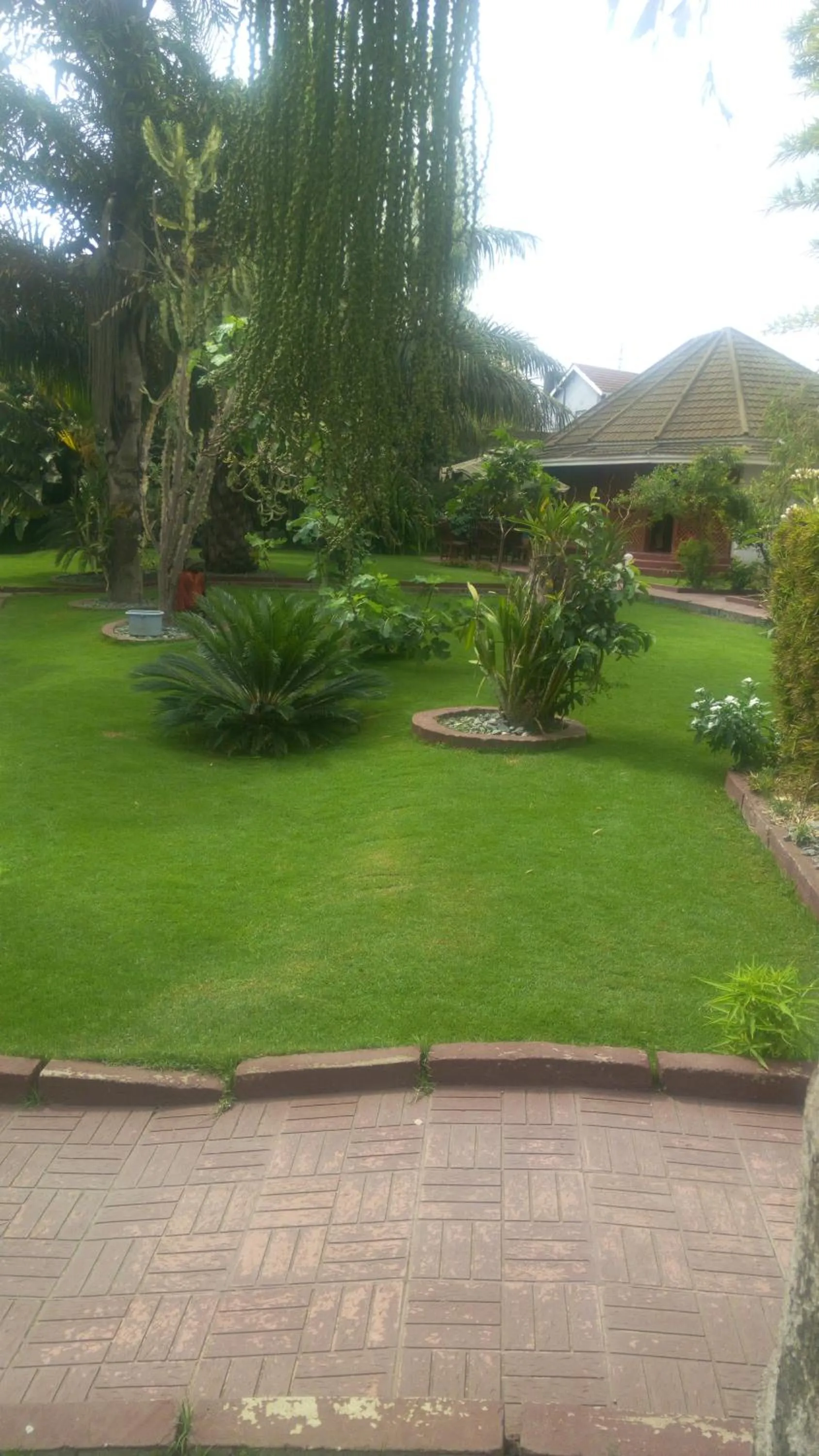 Day in New Charity Hotel International