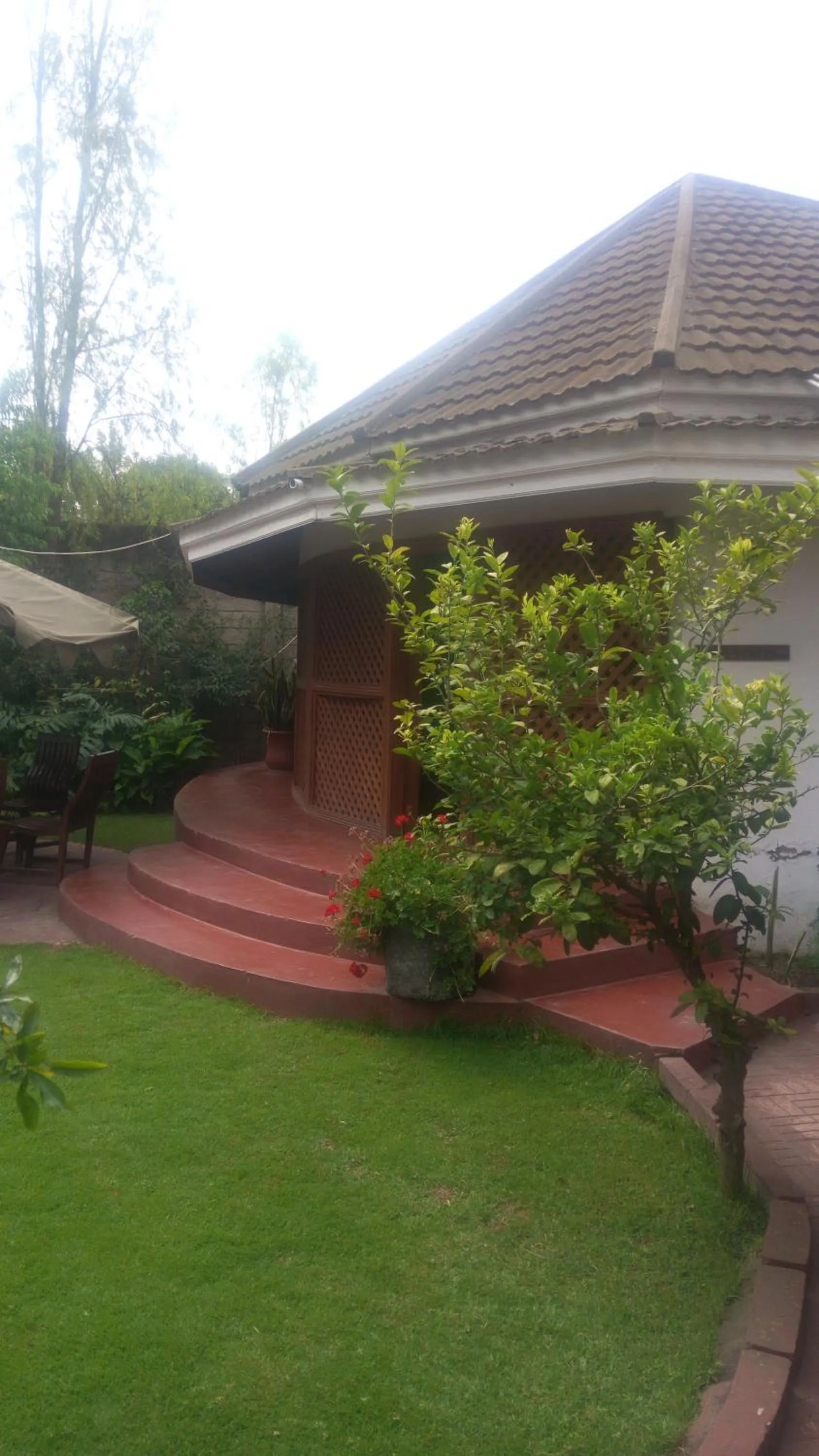 Garden view in New Charity Hotel International