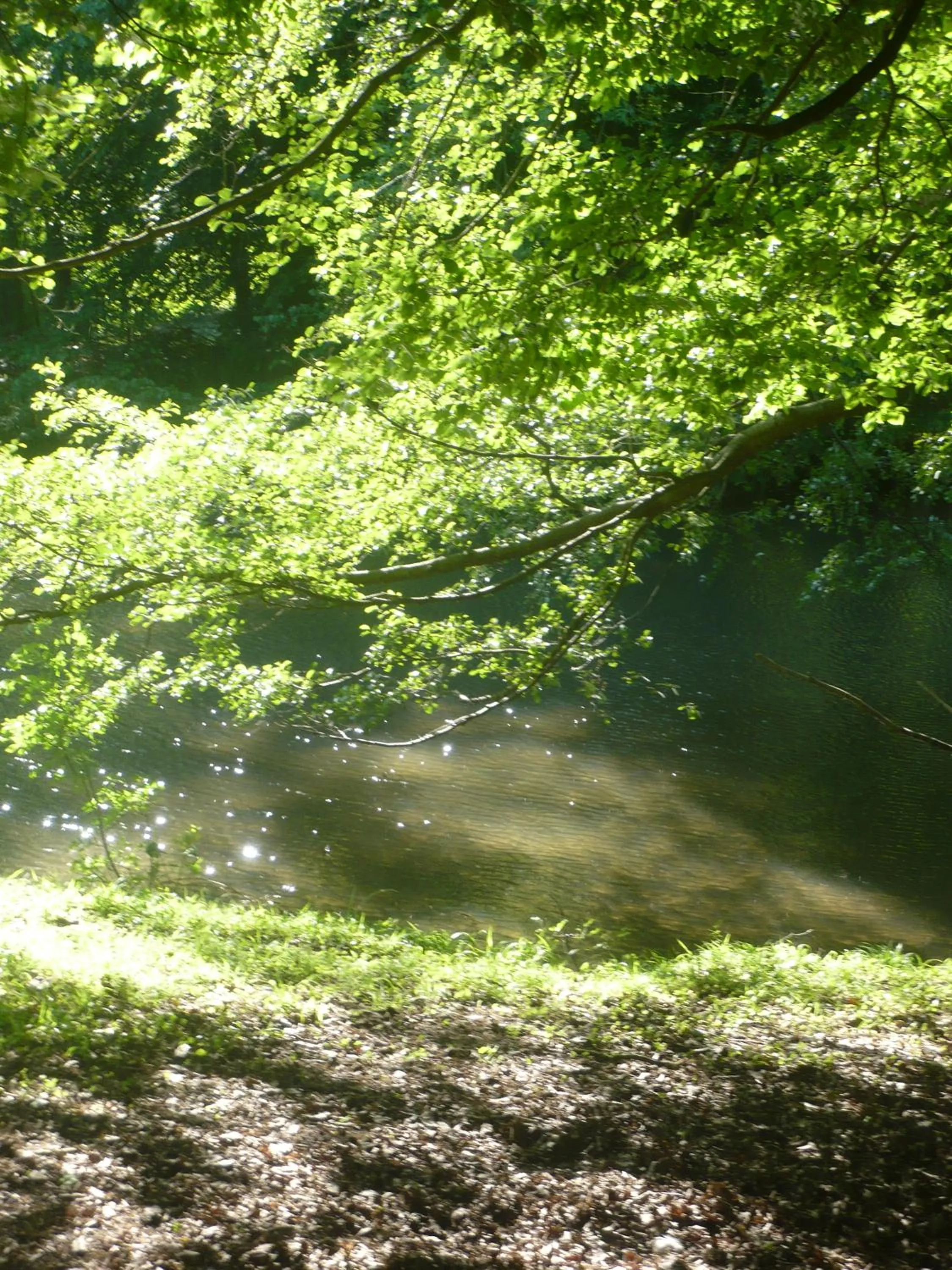 Garden in Le Chateau De La Vierge