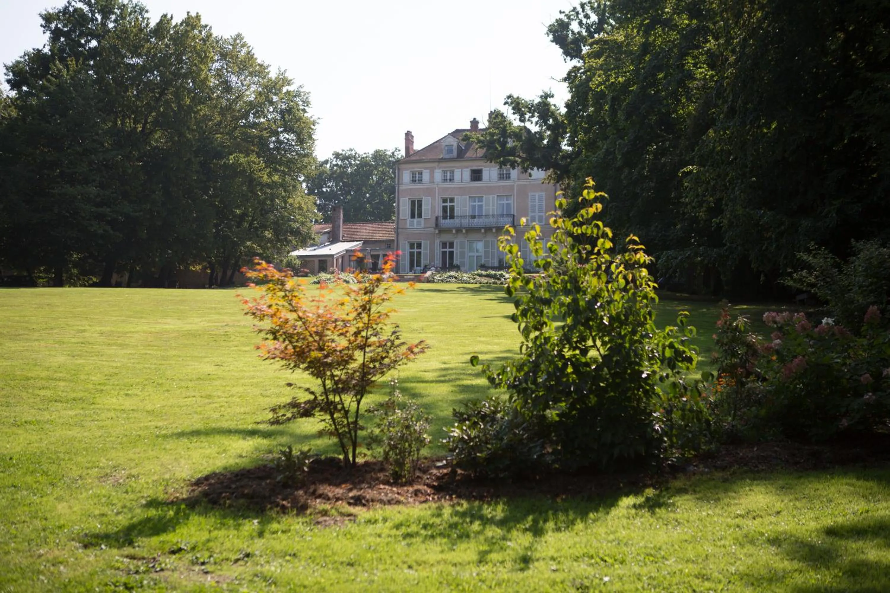 Garden in Le Chateau De La Vierge
