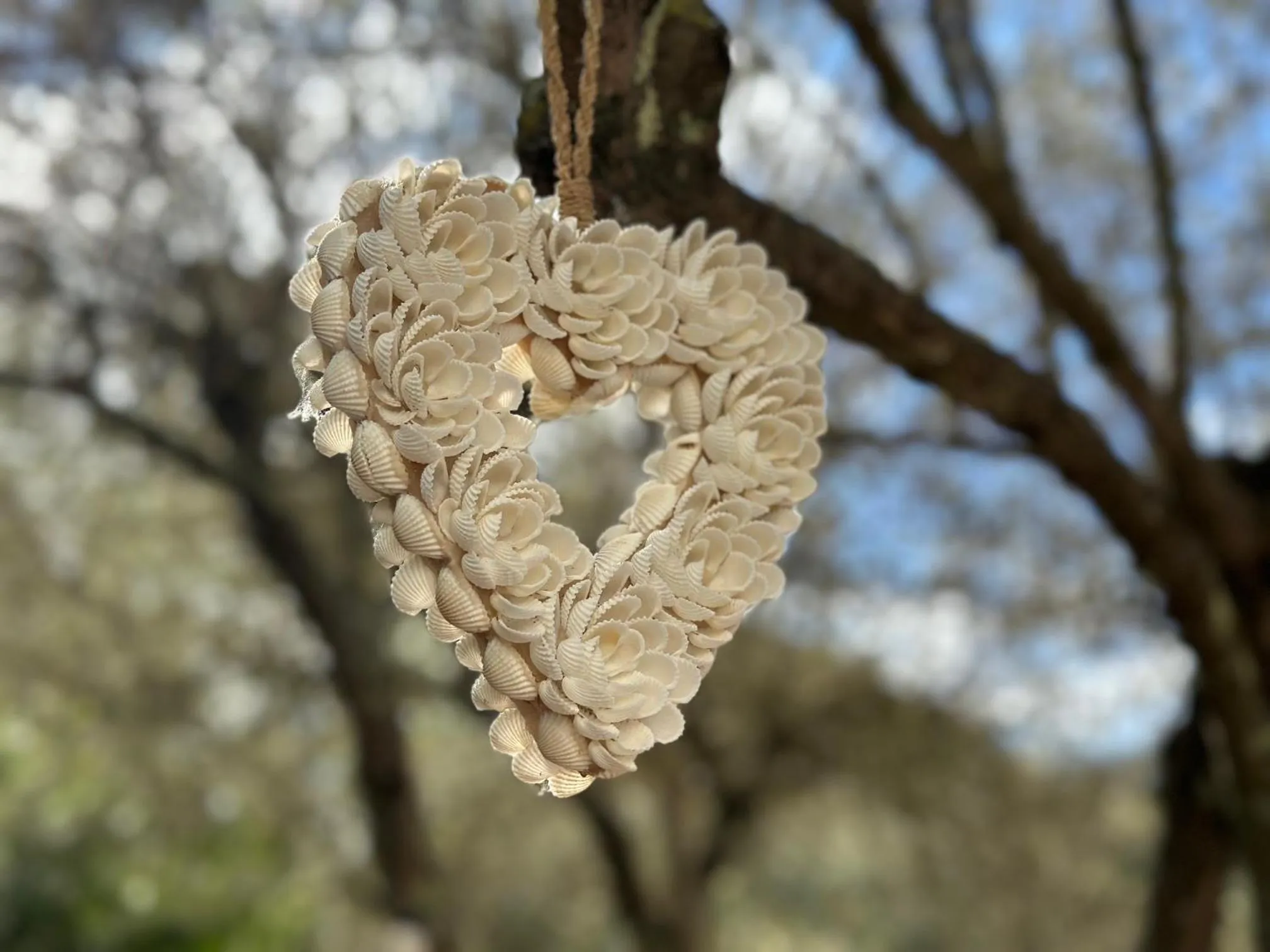 Swimming pool in GOLF HOTEL