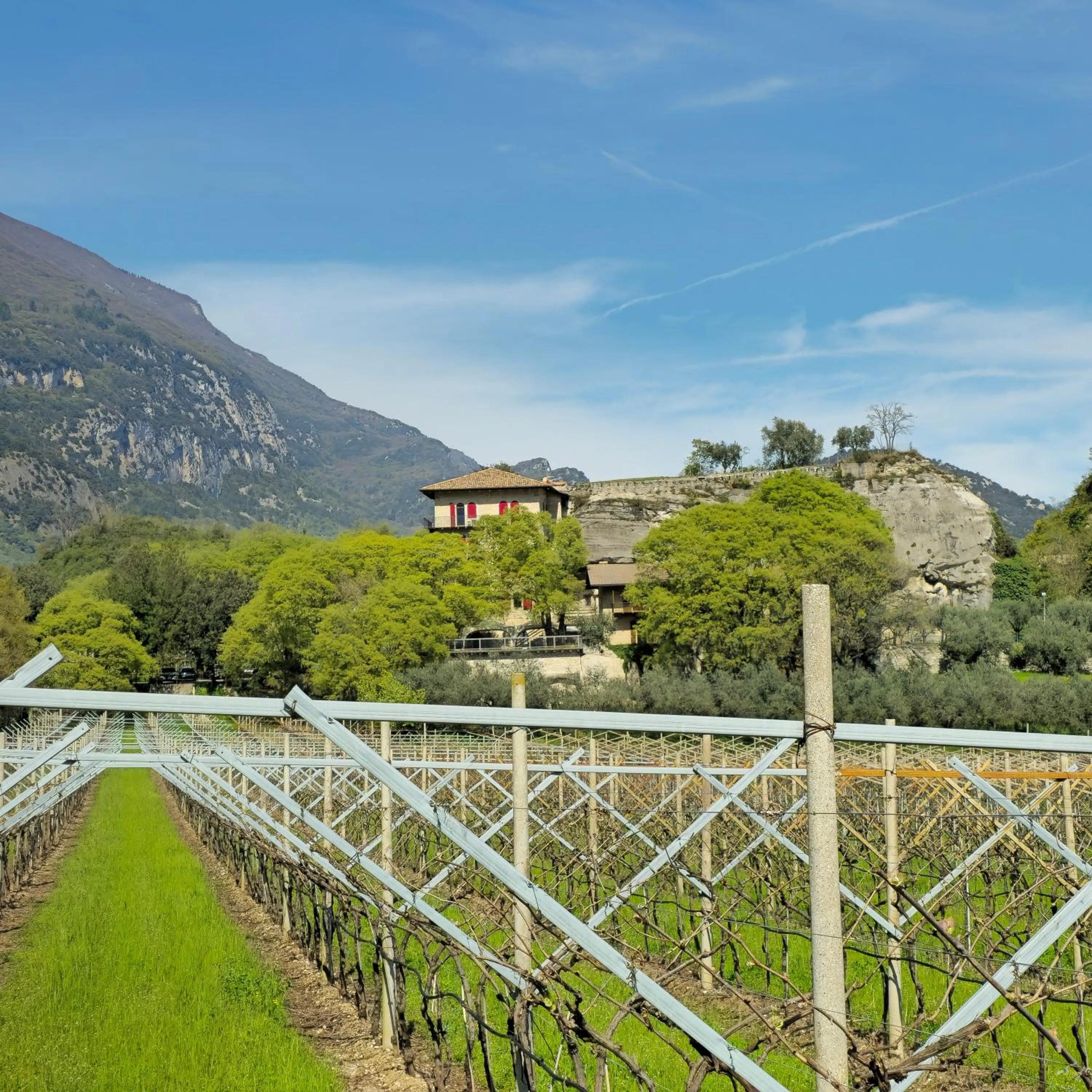 Spring in La Berlera - Riva del Garda