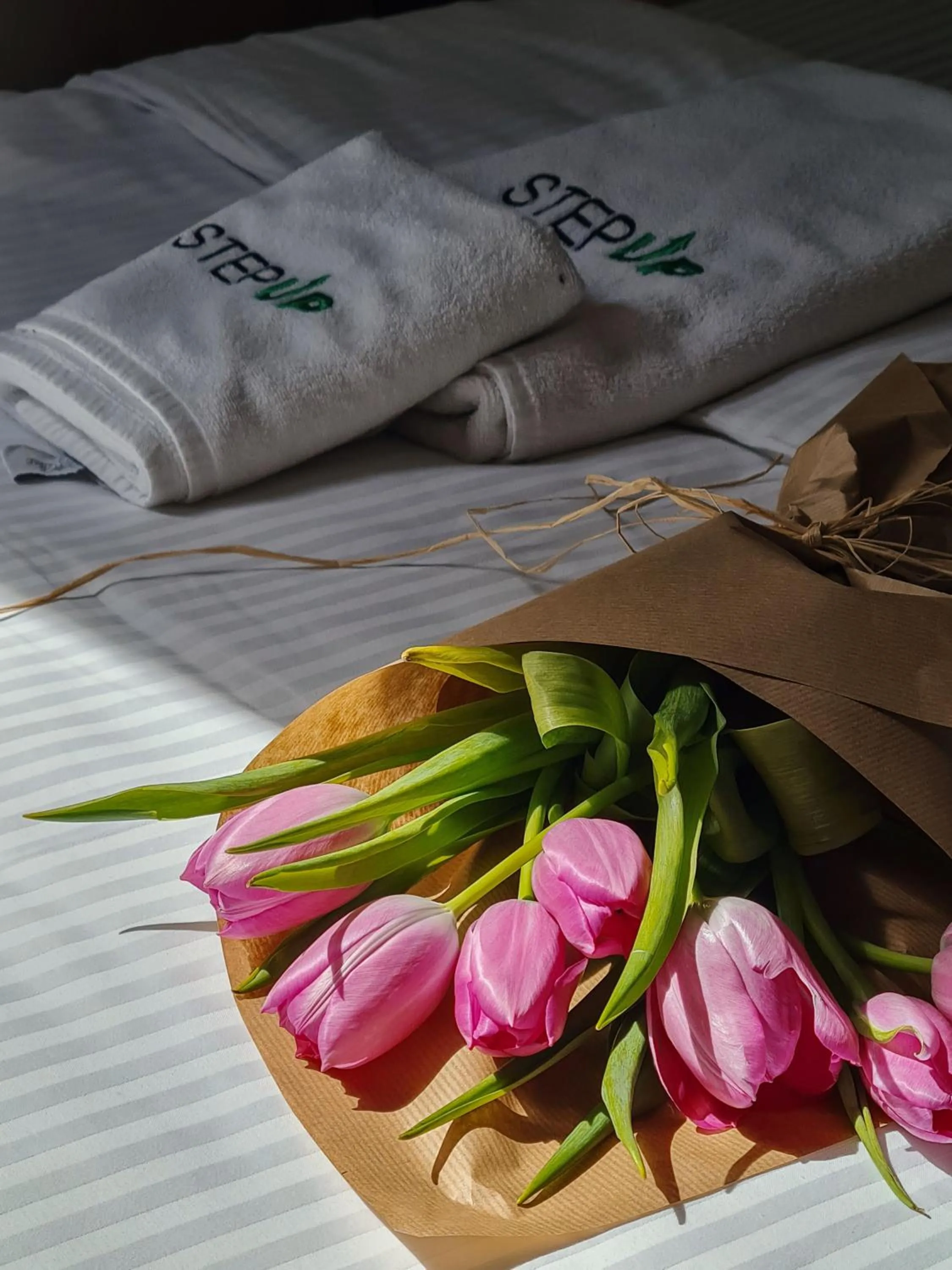 Step to Kotor bay Guesthouse