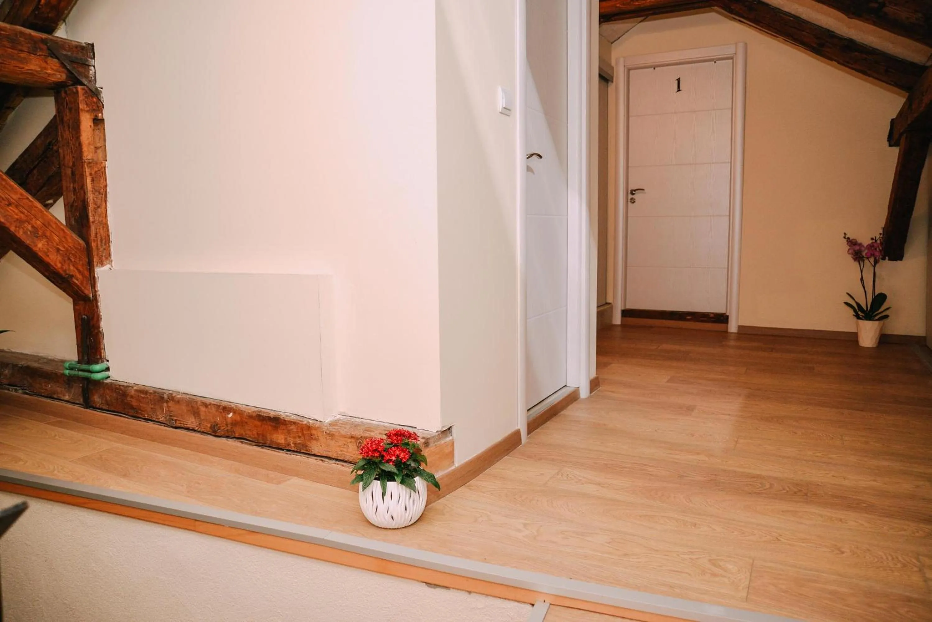 Step to Kotor bay Guesthouse