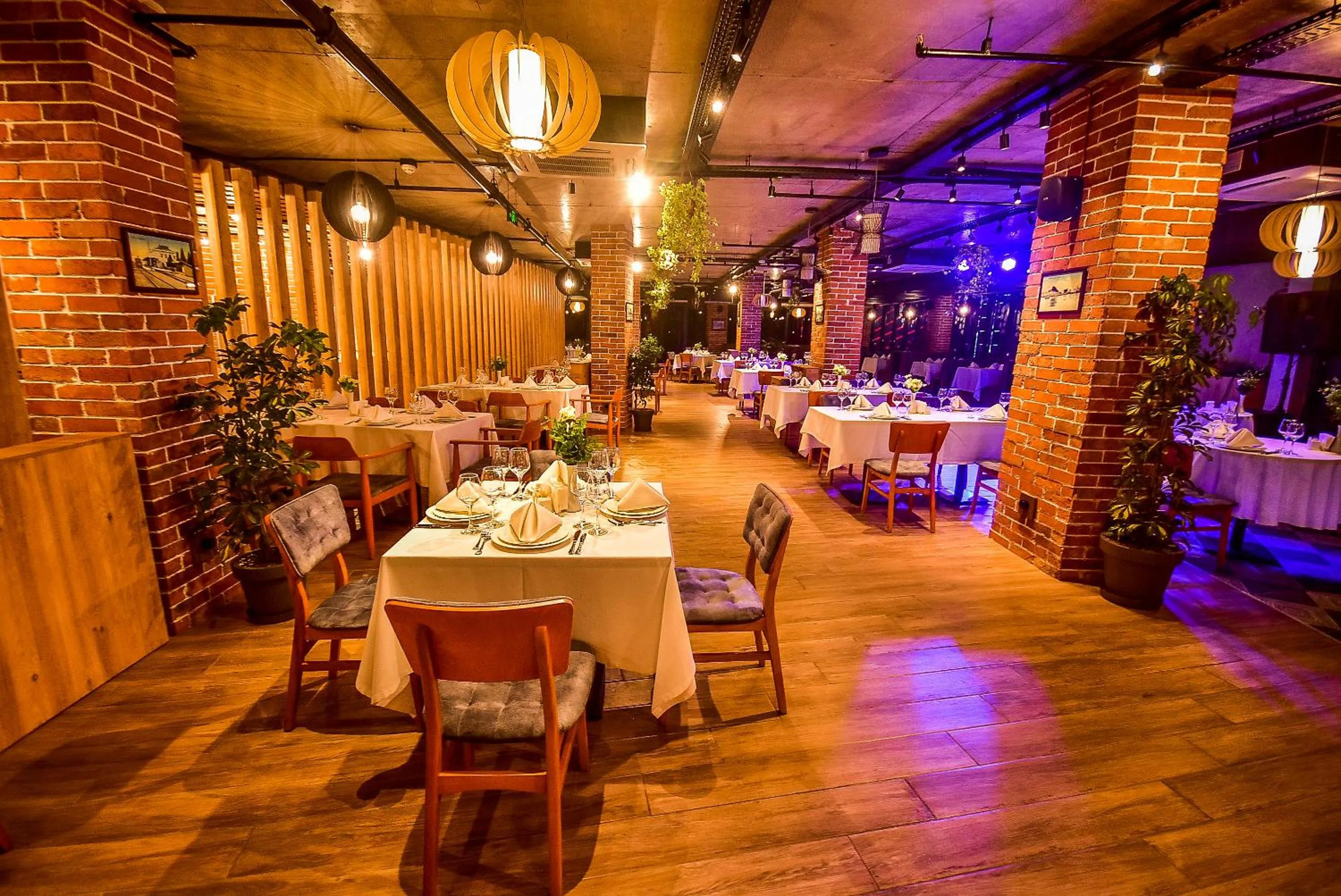 Restaurant/places to eat in New Wave Hotel