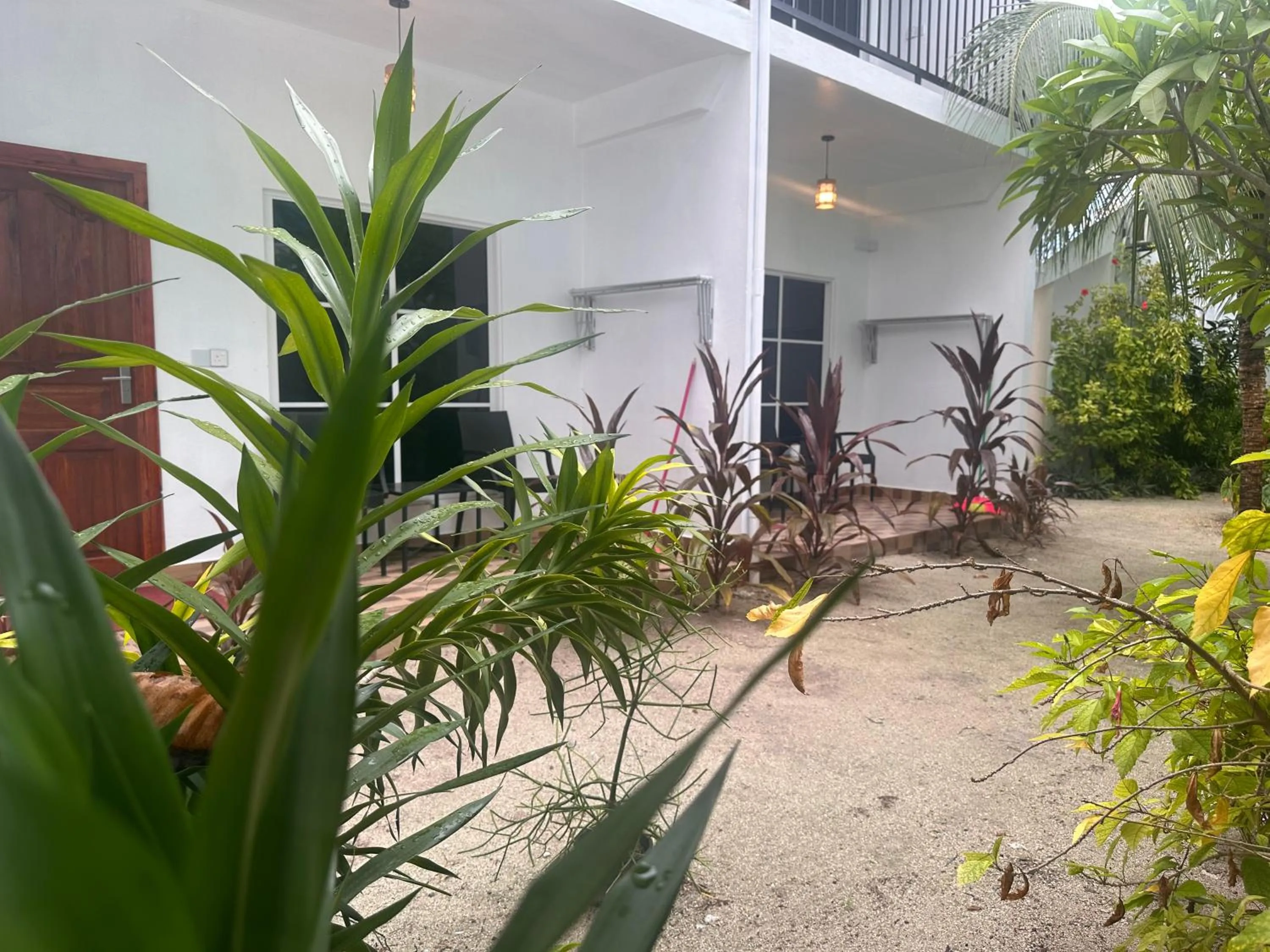 Garden in Thoddoo Island Life