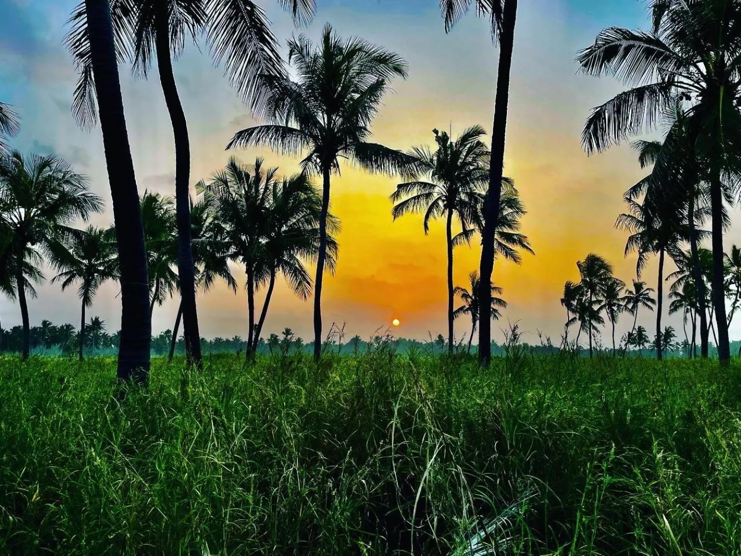 Natural landscape in Thoddoo Island Life