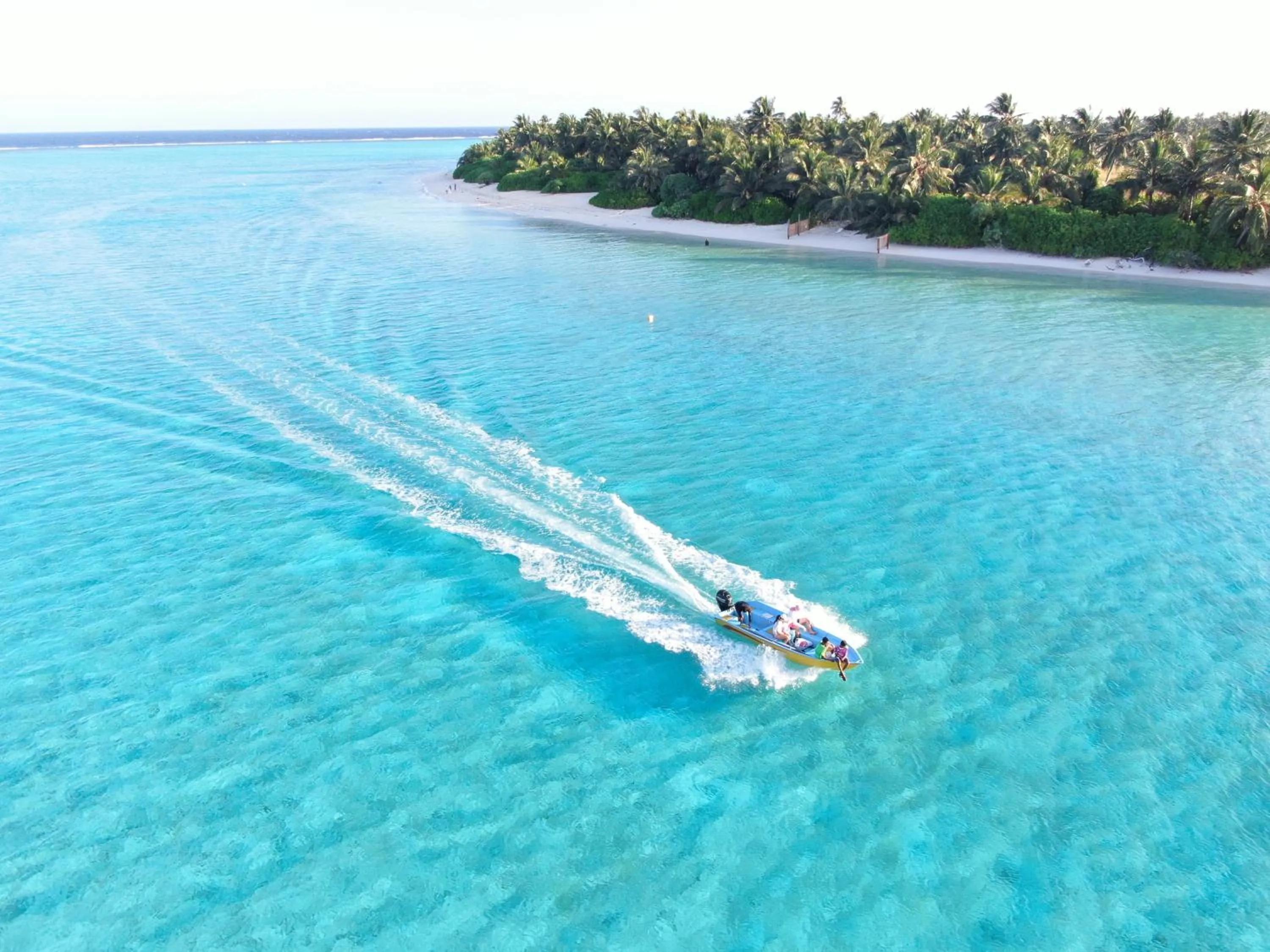 Bird's eye view in Thoddoo Island Life