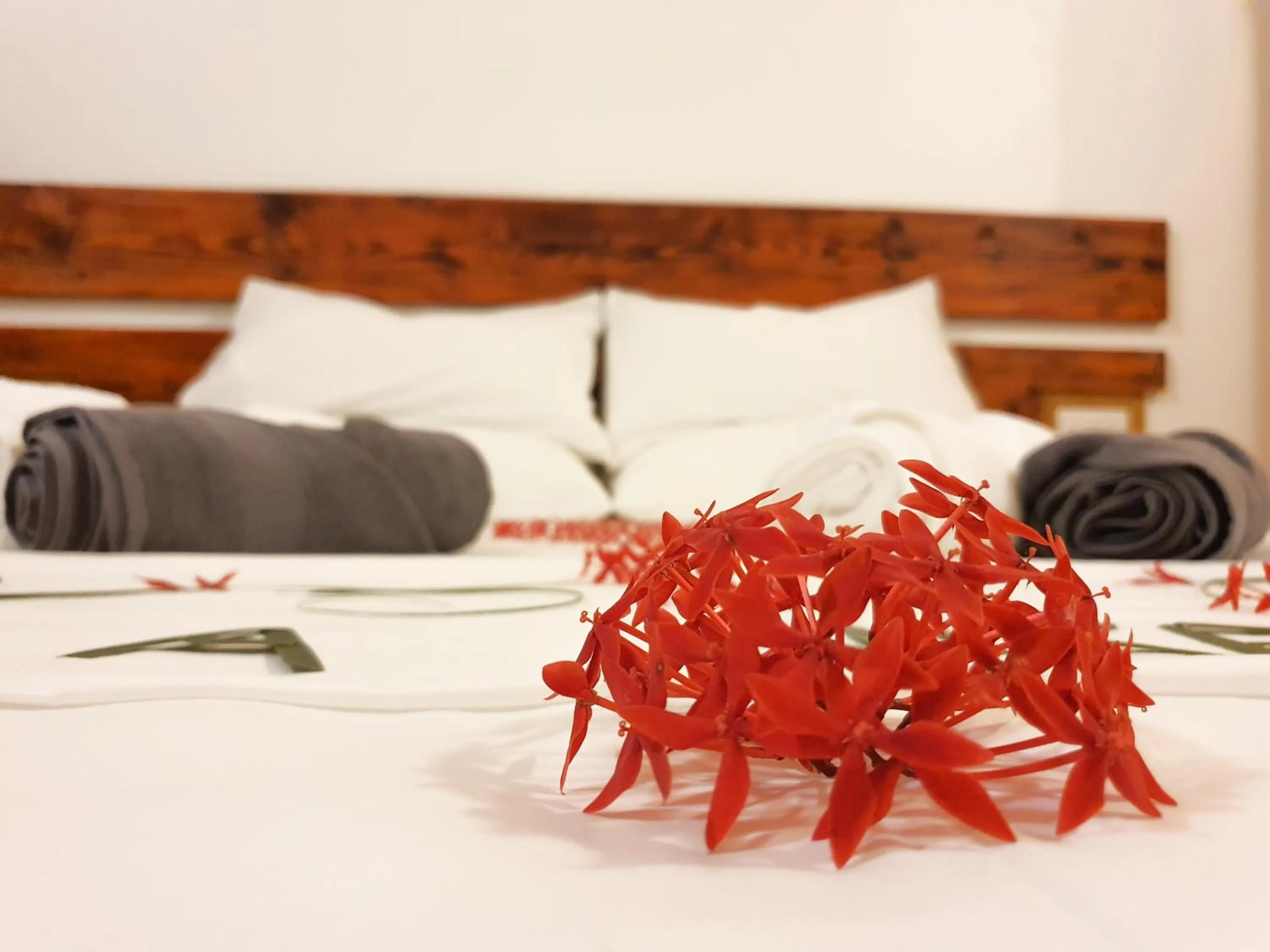 Bed in Thoddoo Island Life