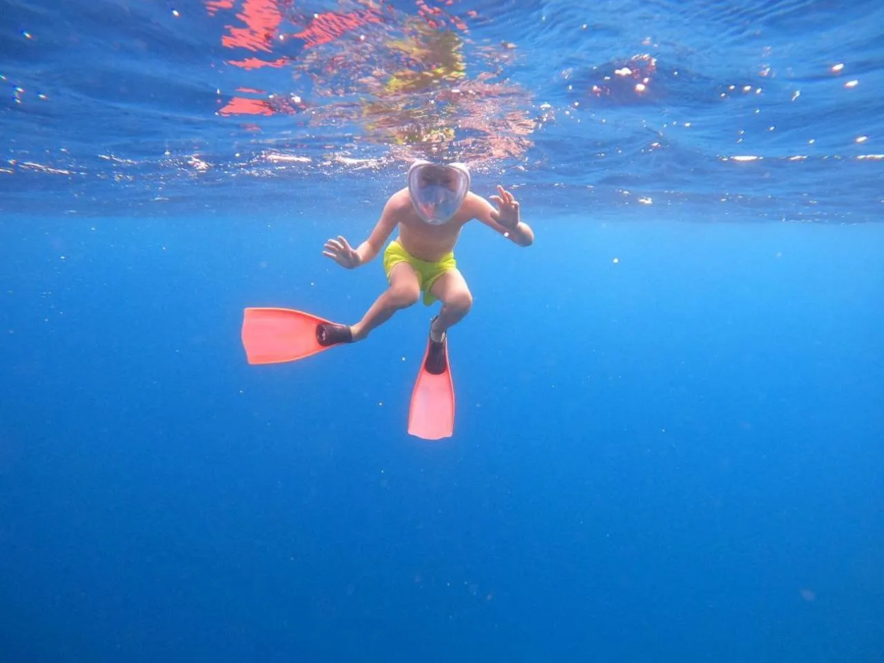 Activities in Thoddoo Island Life