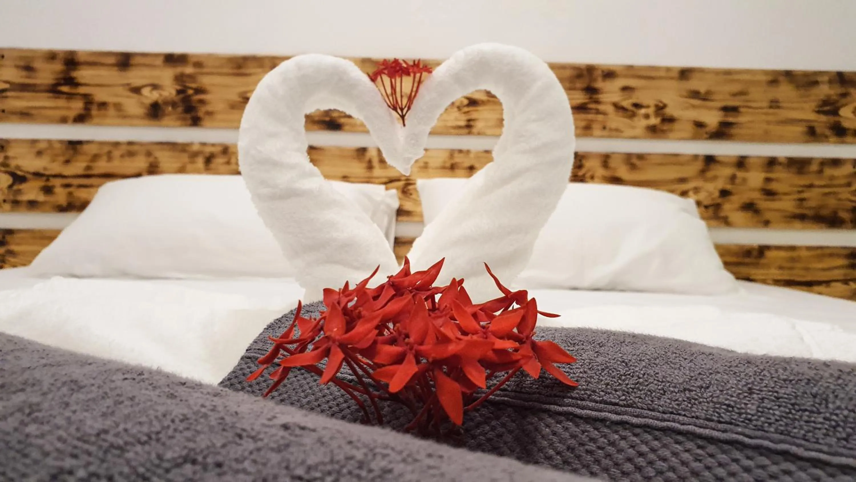 Bed in Thoddoo Island Life