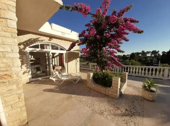 Apartments & rooms Mila