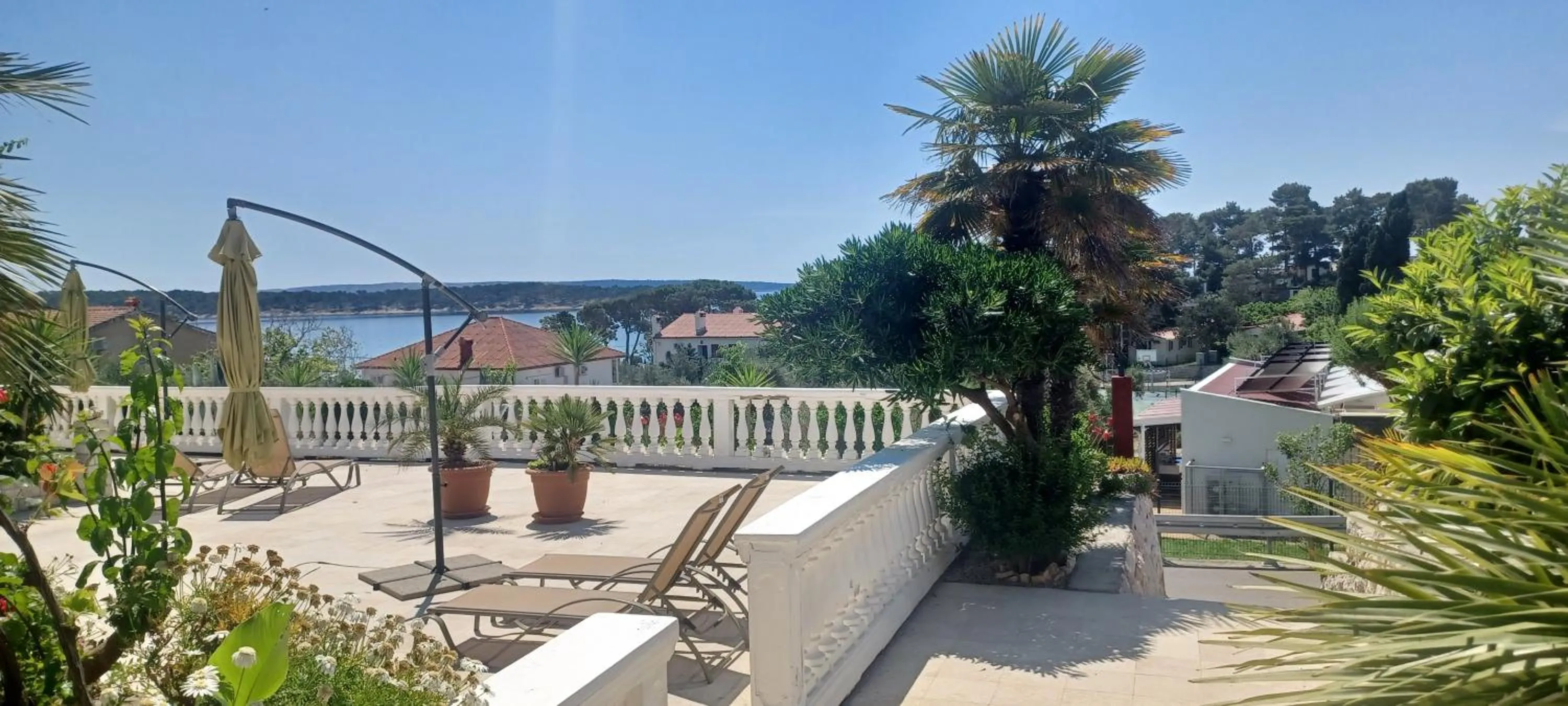Apartments & rooms Mila
