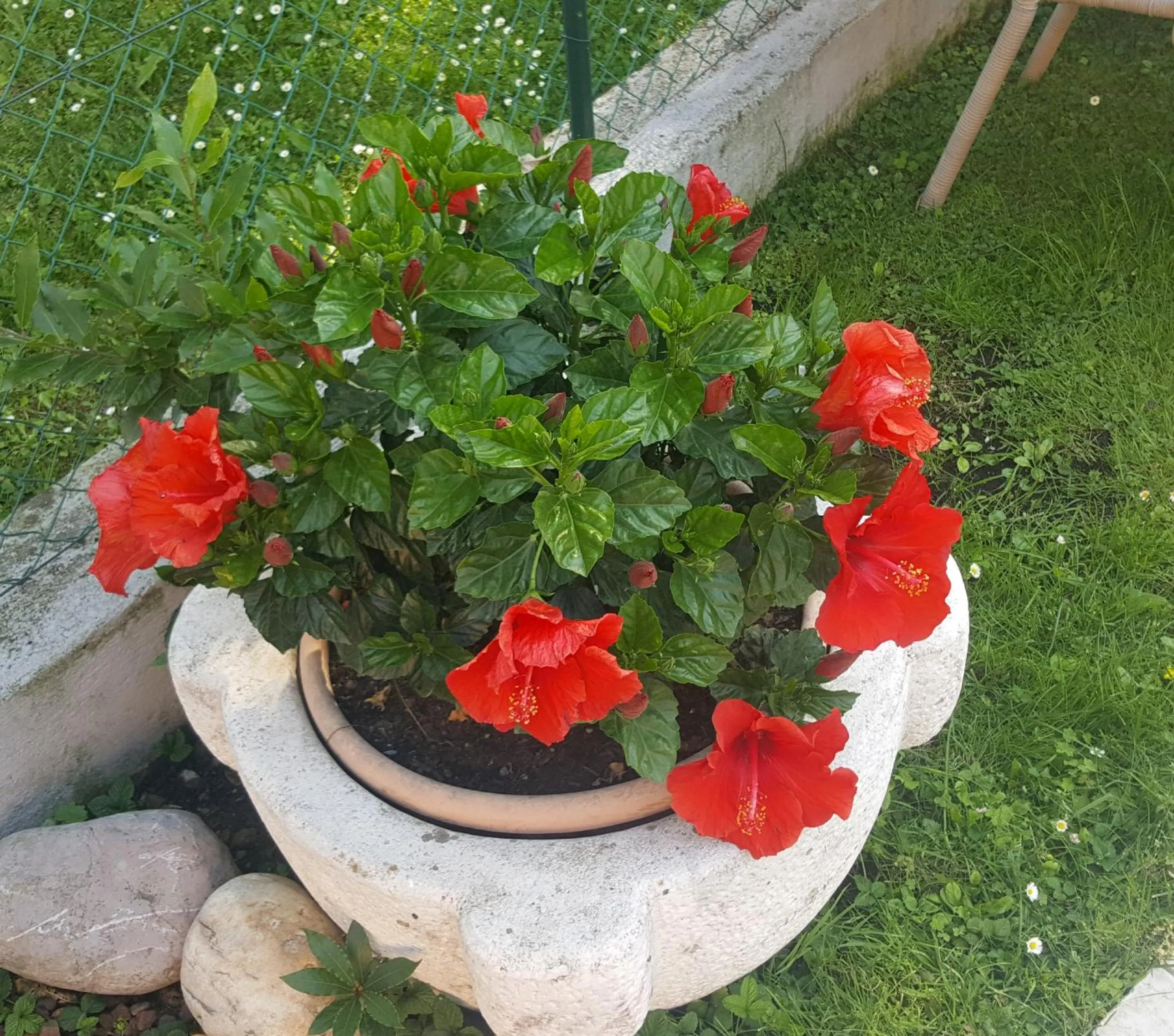 Decorative detail in B&B Casa Gaia - Sirmione